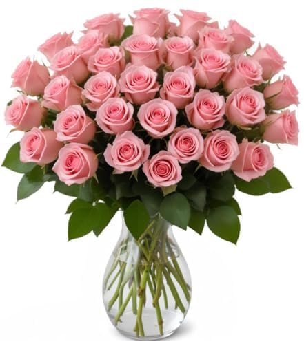 Arabella Bouquets 25 Pink Roses