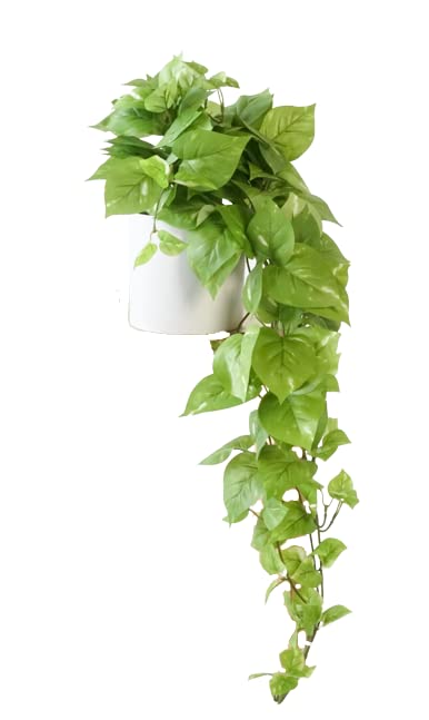 Retrograde 32" Realistic Fake Pothos Ivy Plant for Home Decor