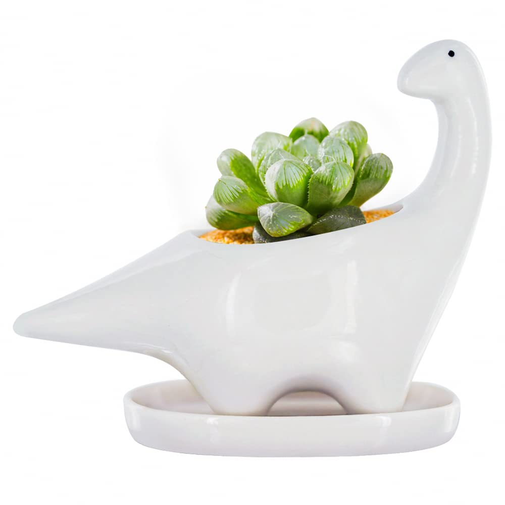 GeLive White Dinosaur Succulent Planter