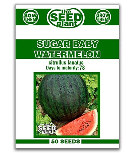 Sugar Baby Watermelon Seeds