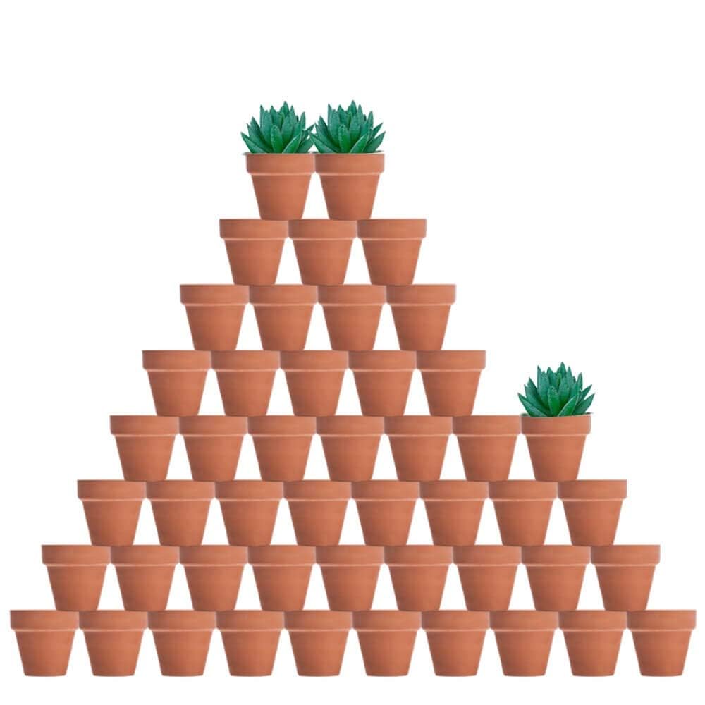 Tiny Terracotta Pots (48-Pack)
