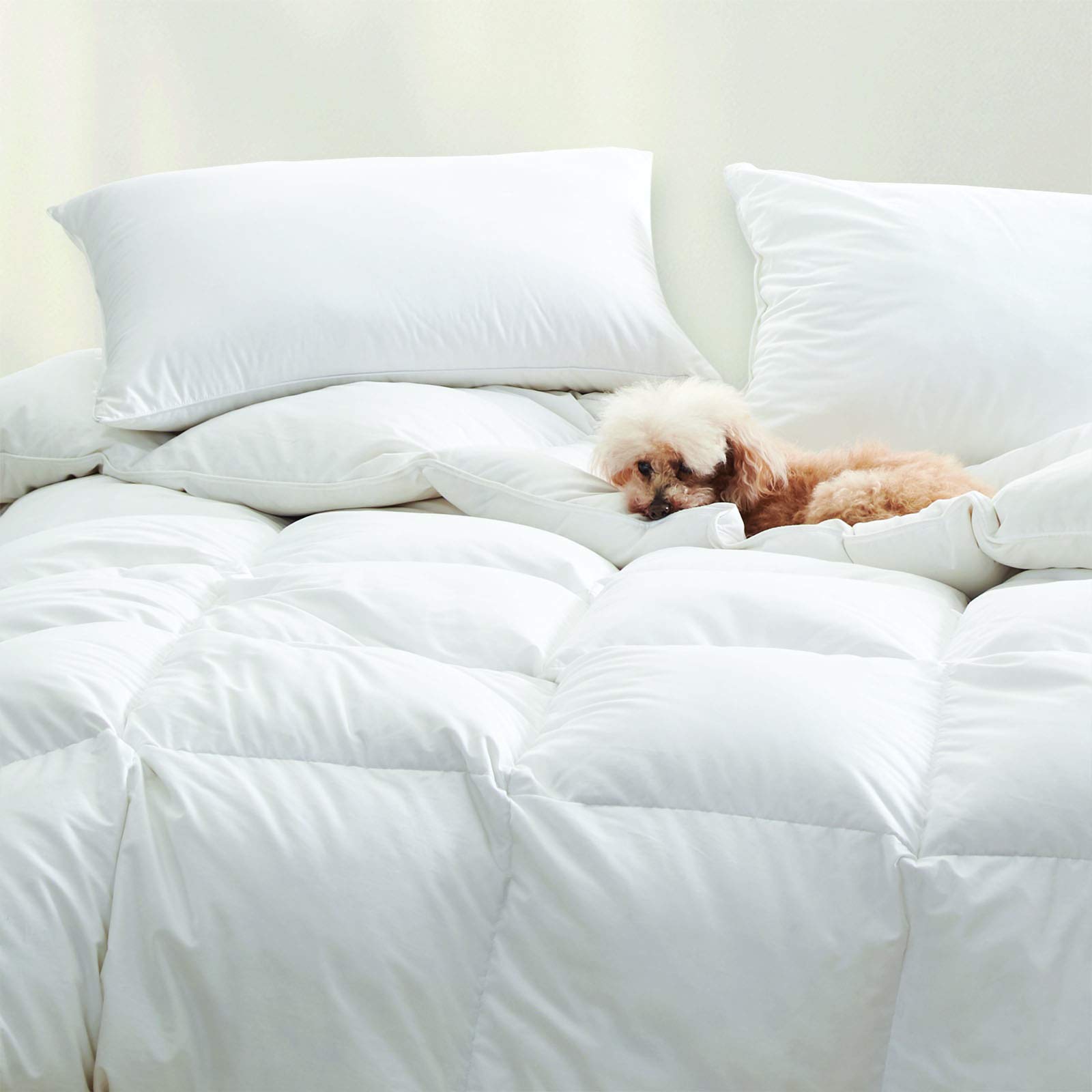 Cuddledown Dreamstead Percale Comforter
