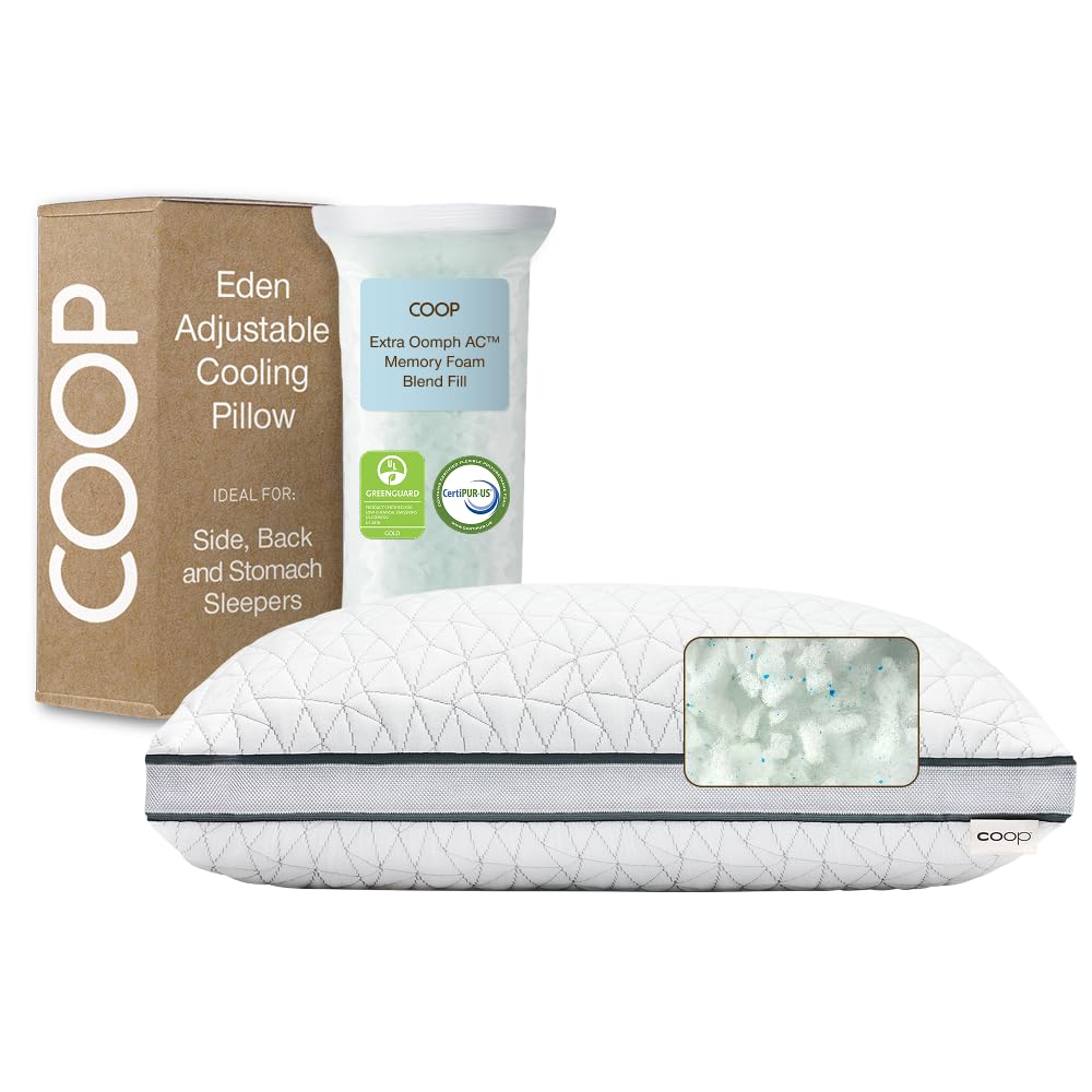 Coop Home Goods Eden Pillow (Queen)