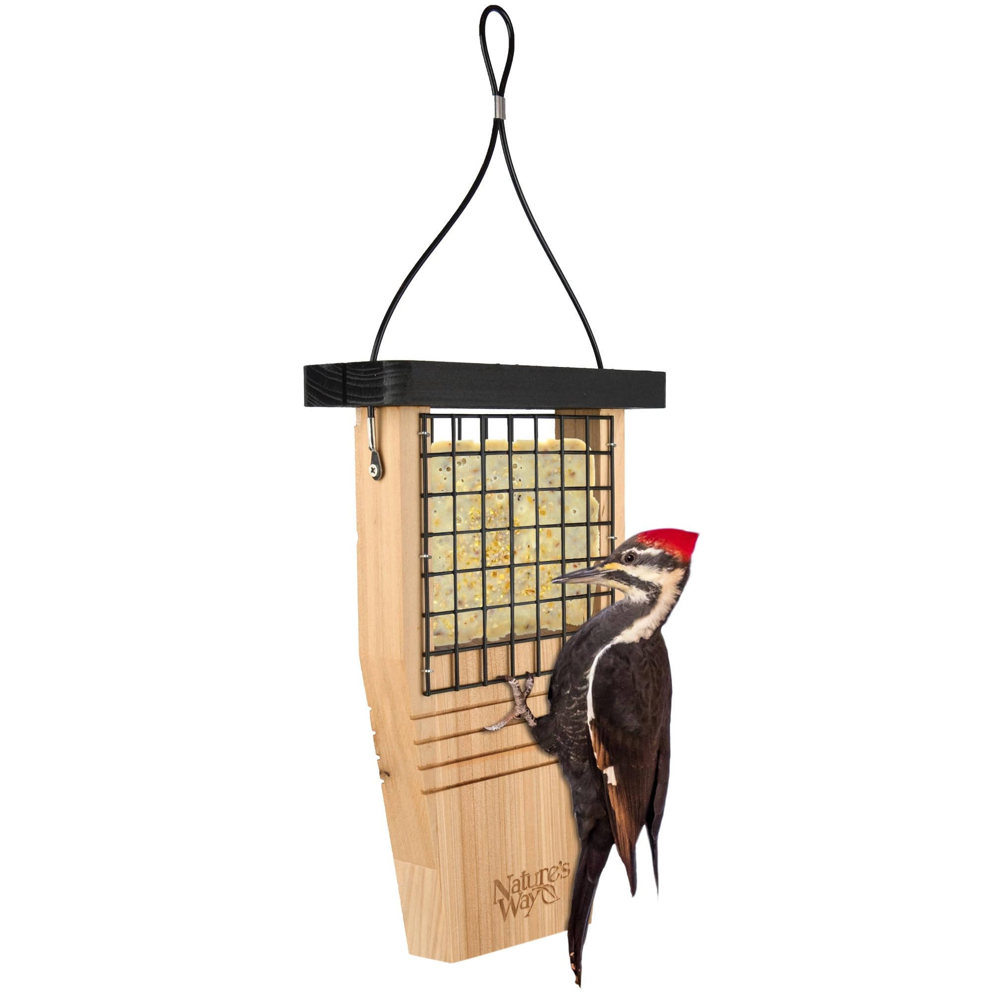 Nature's Way Tail-Prop Suet Feeder