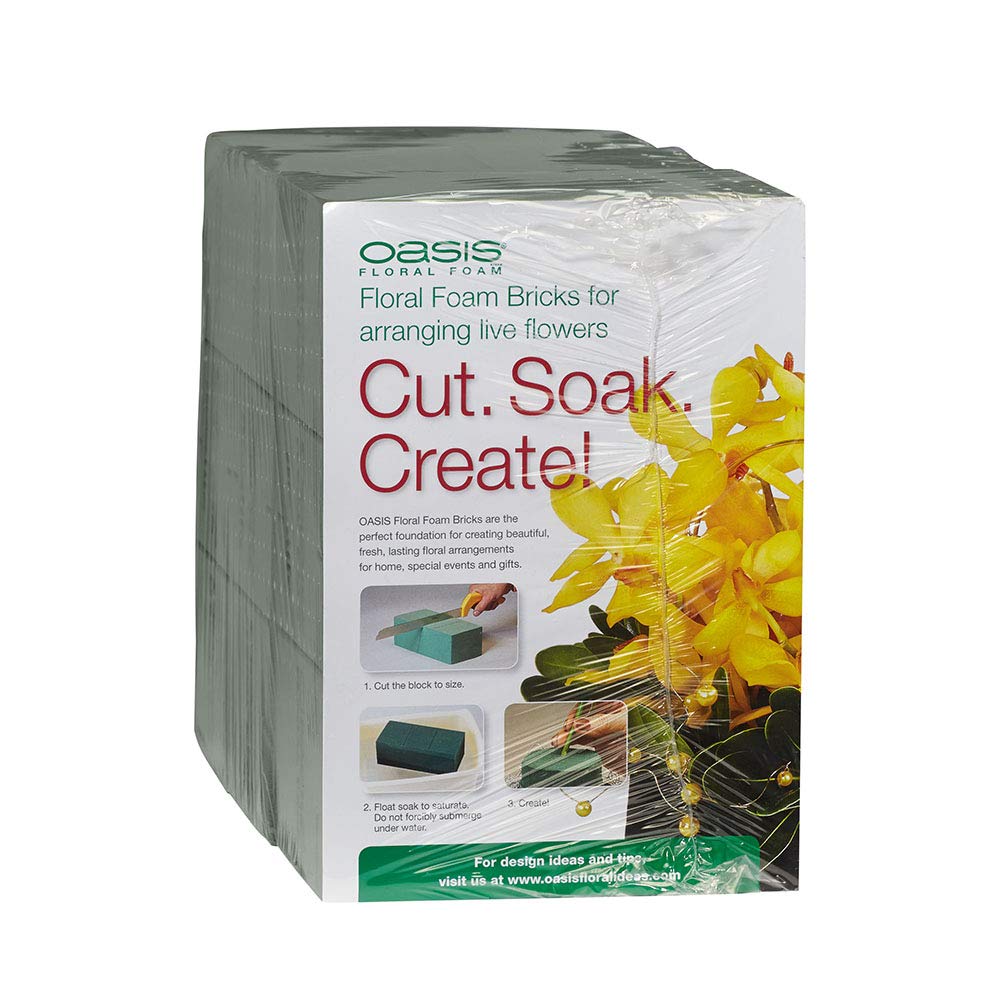 Oasis Standard Floral Foam Bricks