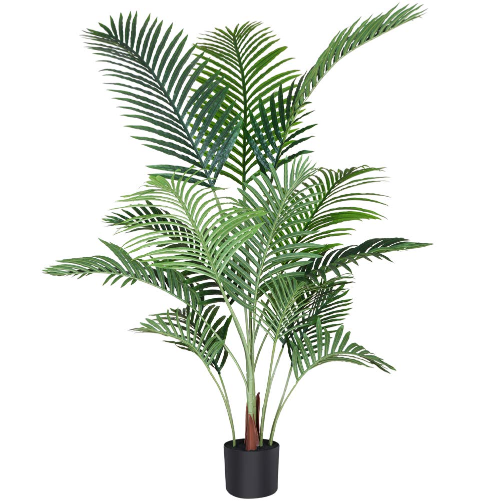 Fopamtri Areca Palm 4.6ft with Multiple Trunks