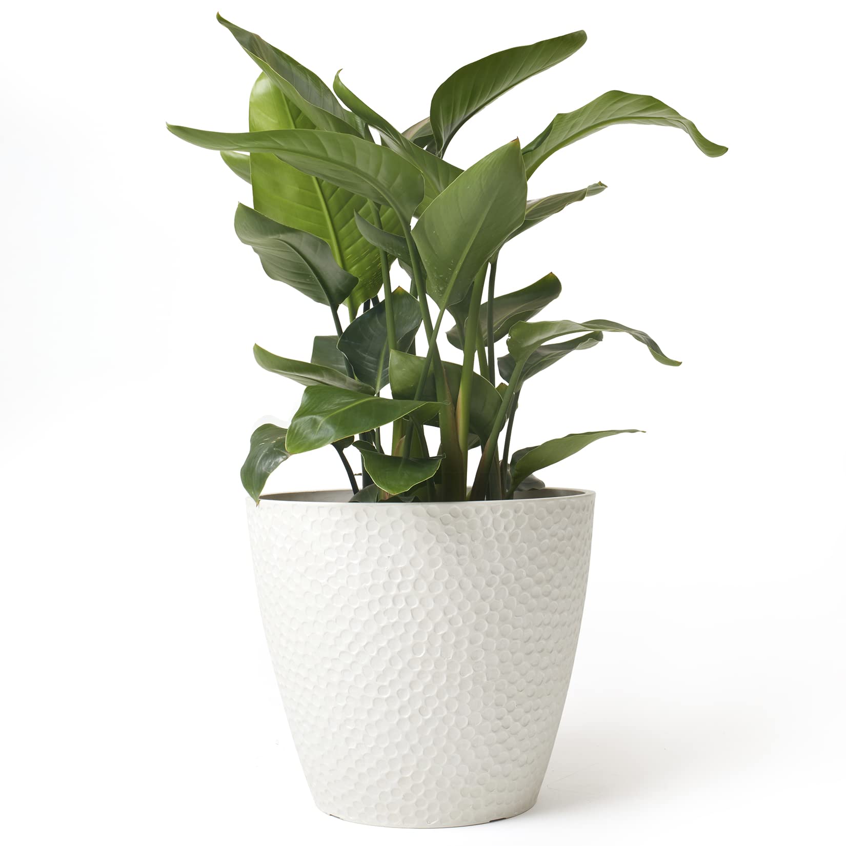 LA JOLIE MUSE 14in Honeycomb Planter