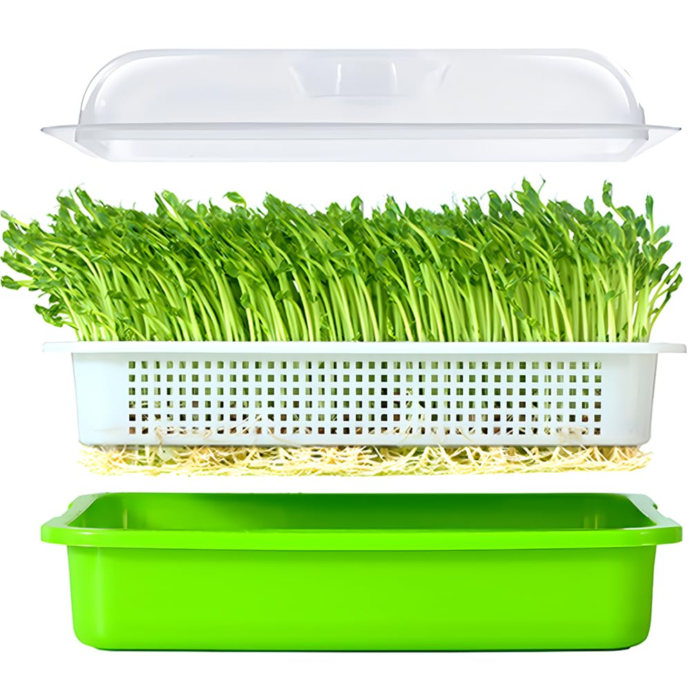 LeJoy Garden Seed Sprouter Tray