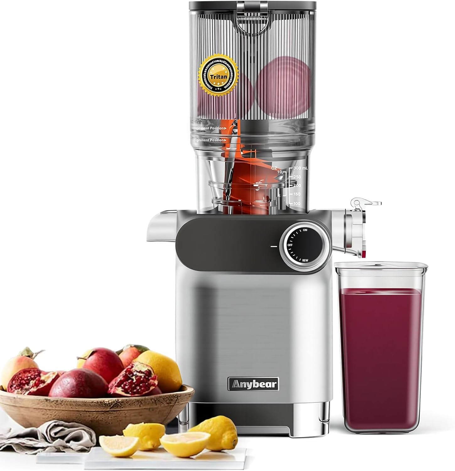 Anybear Cold Press Juicer 200W Masticating Slow Juicer (Silver)