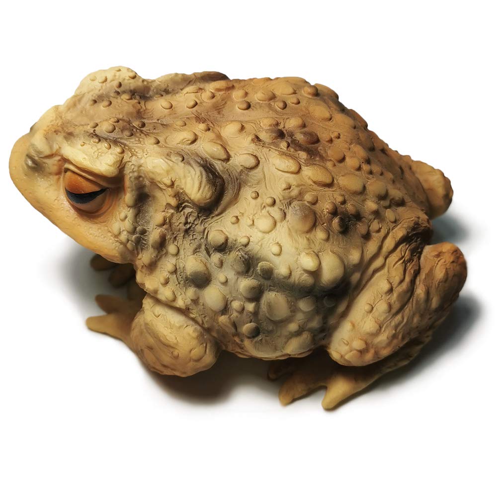 Sunthus frog/toad resin statue