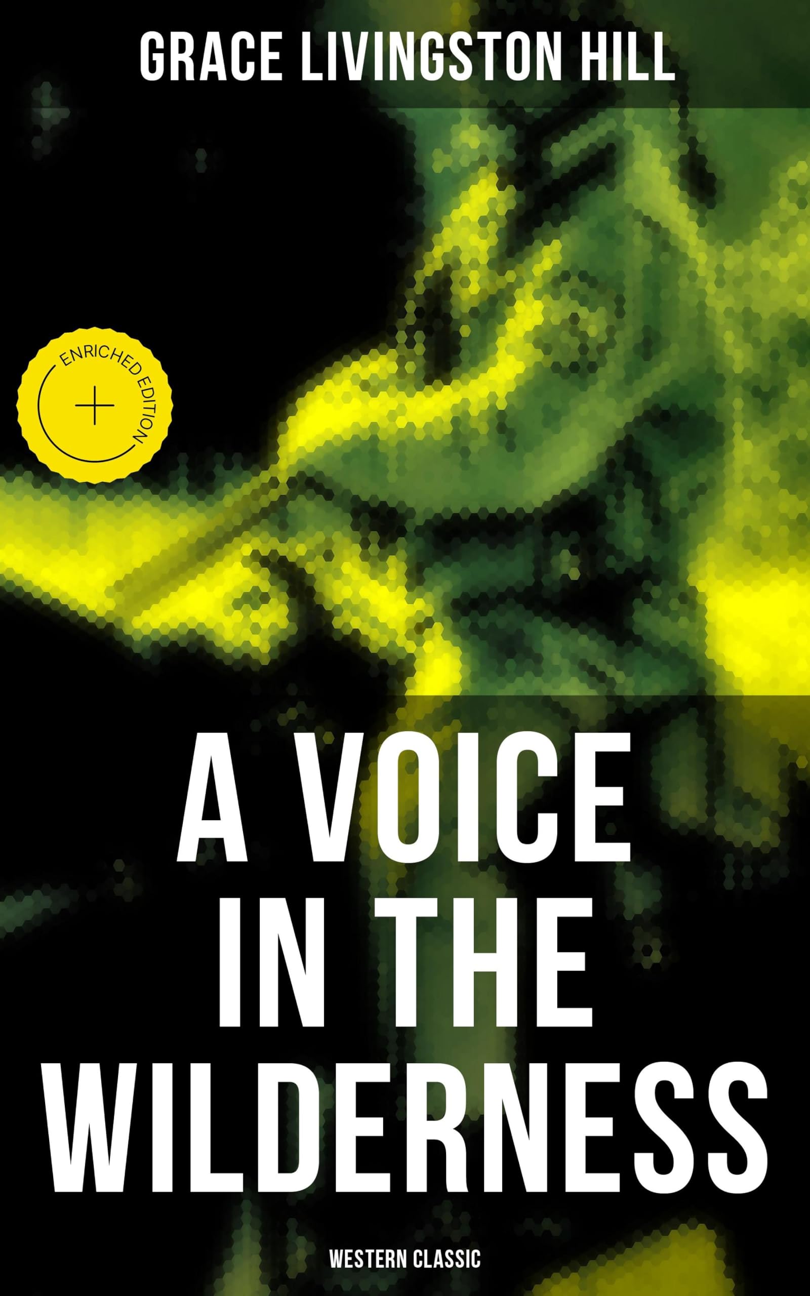 A Voice in the Wilderness — Grace Livingston Hill