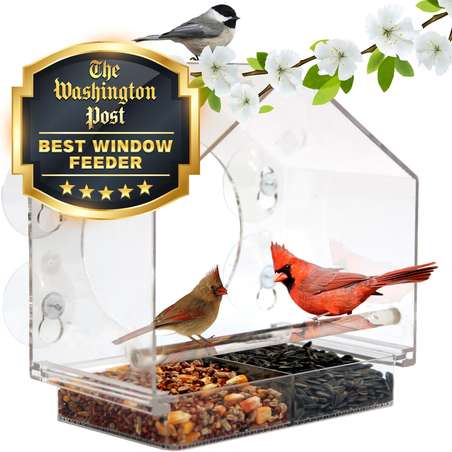 Nature Anywhere Window Bird Feeder — Clear Acrylic with Enhanced Suction