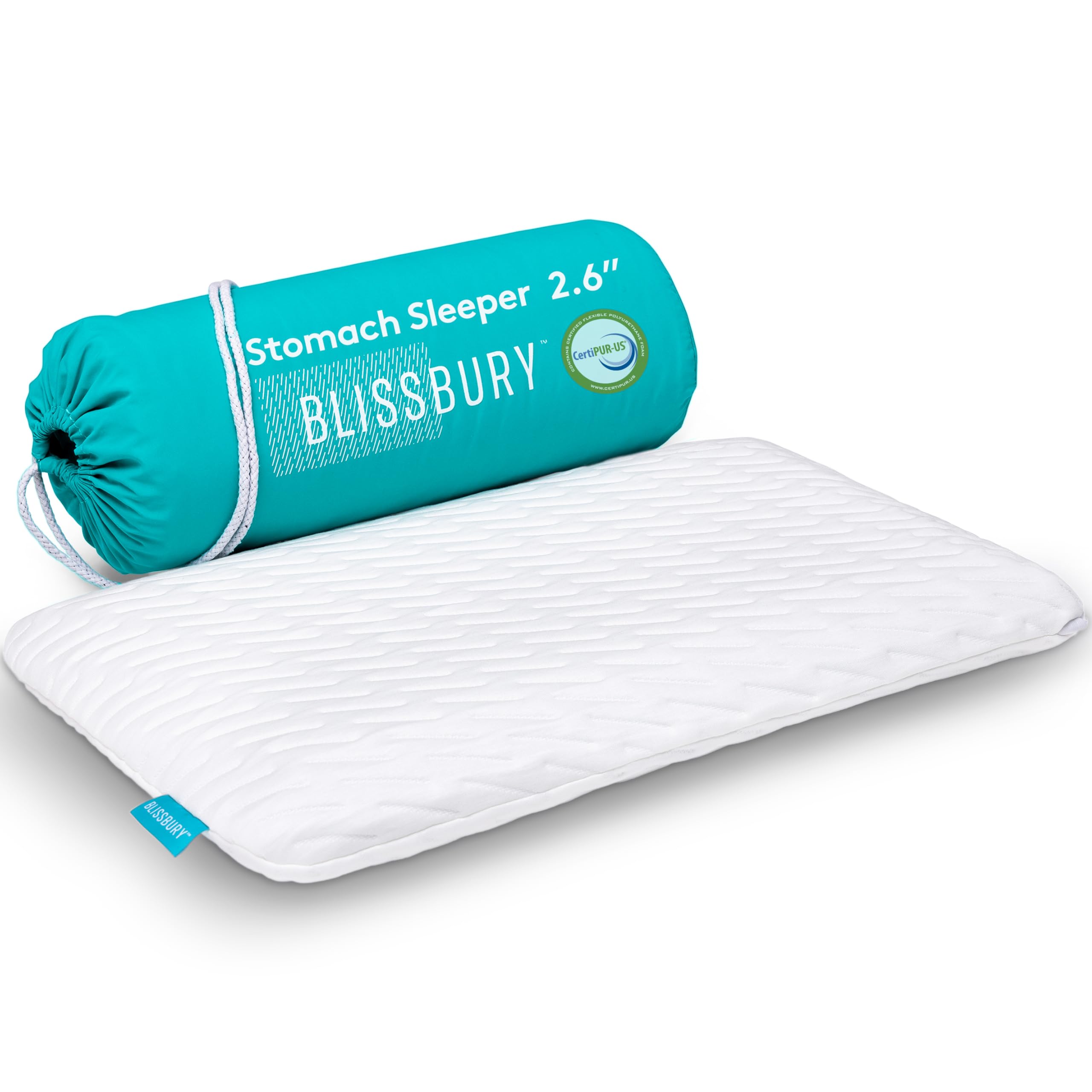 BLISSBURY Ultra Thin Memory Foam Pillow (Queen, 2.6")