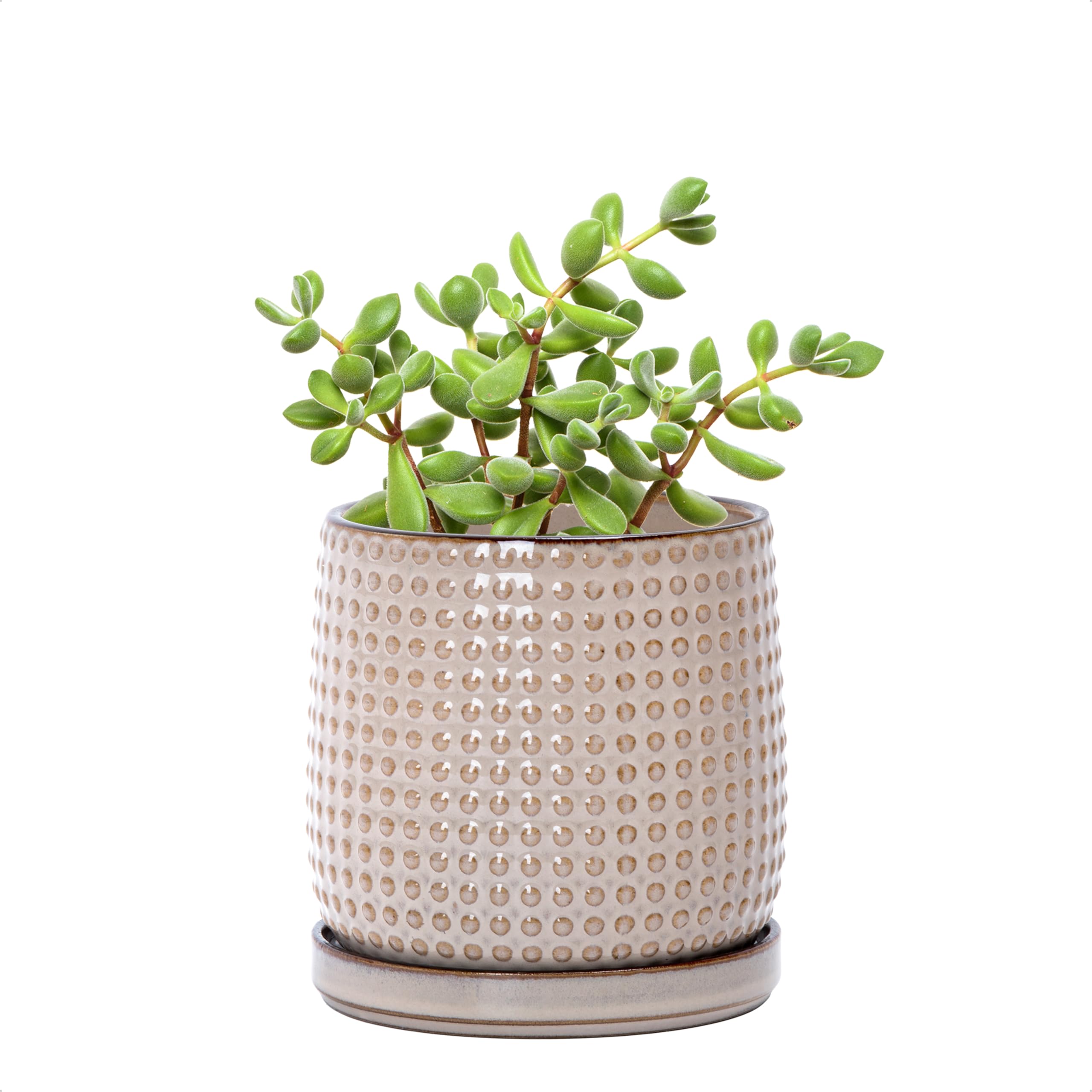 D'vine Dev Beaded Stoneware Planter