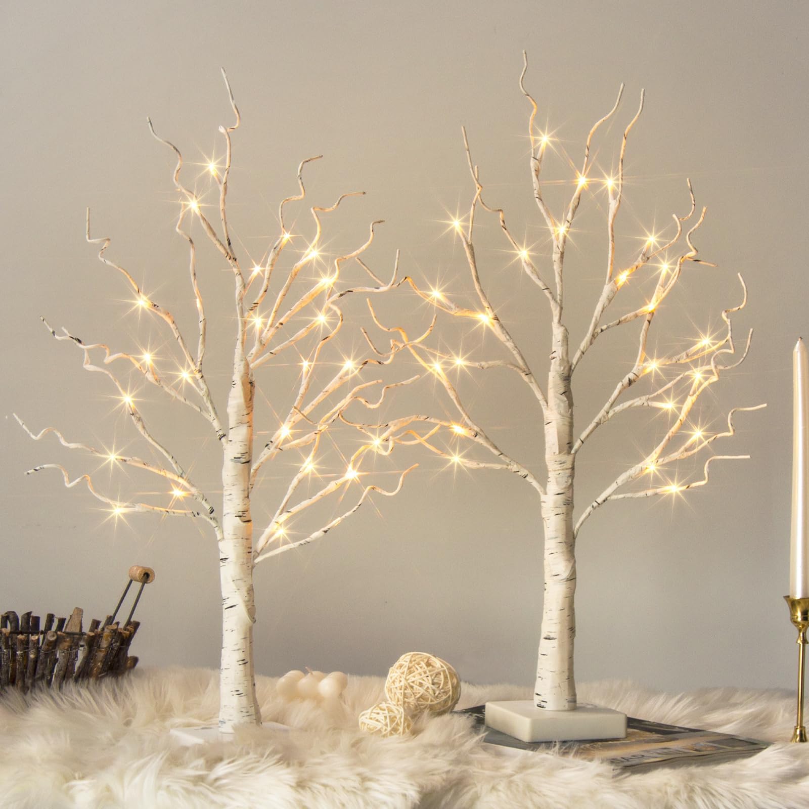 Vanthylit 2ft Lighted Birch Table Tree (Set of 2)
