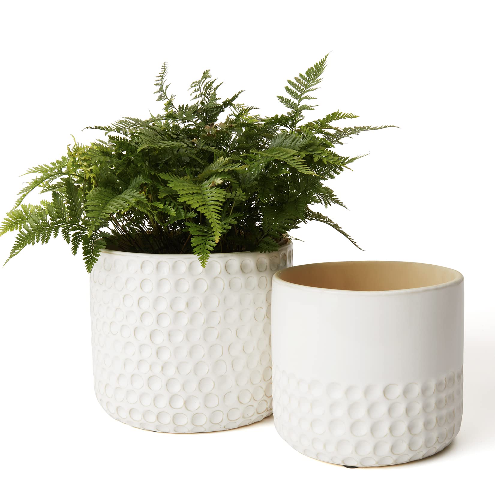 La Jolie Muse Dot Patterned Ceramic Planters (Set of 2)