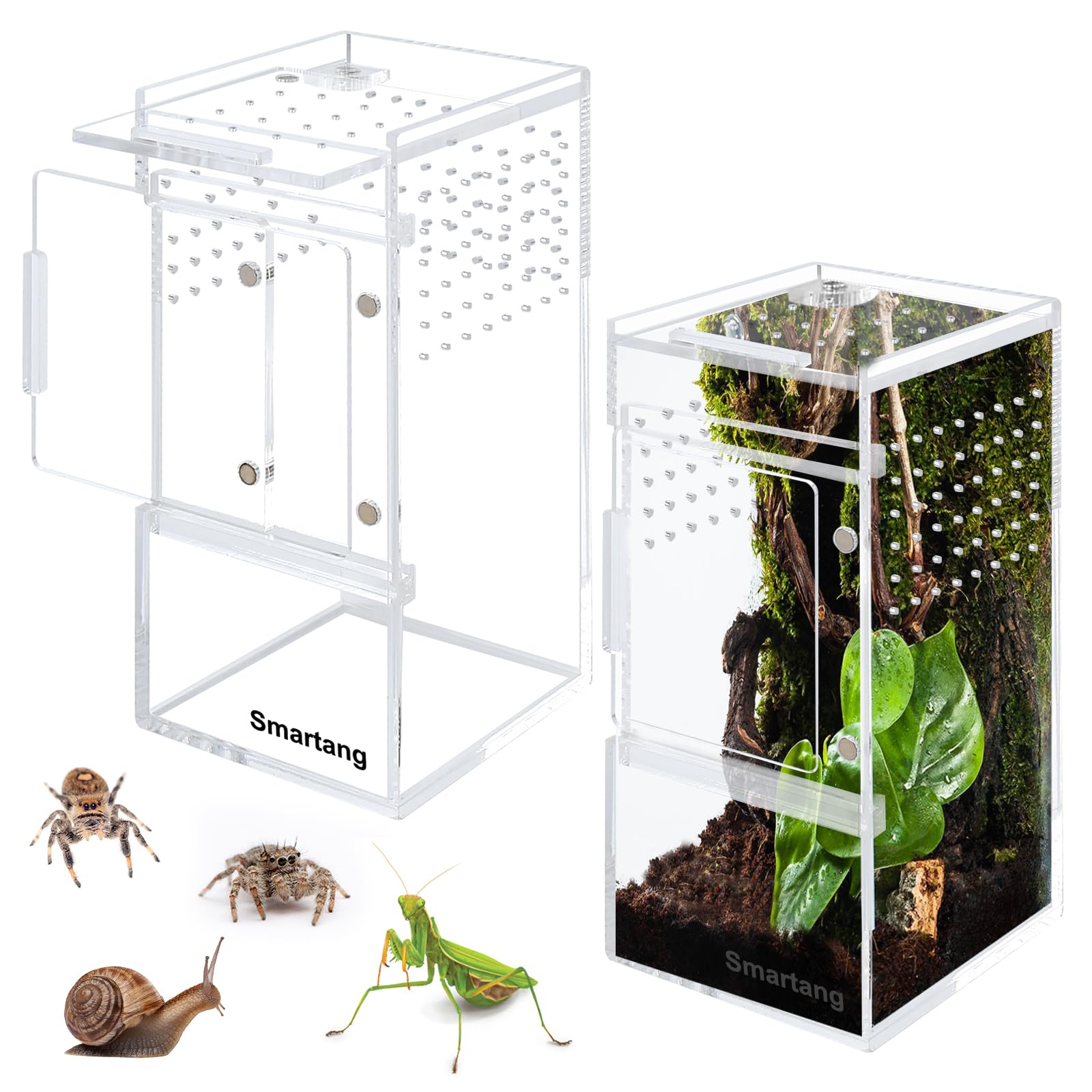 Pre-Assembled Jumping Spider Enclosure