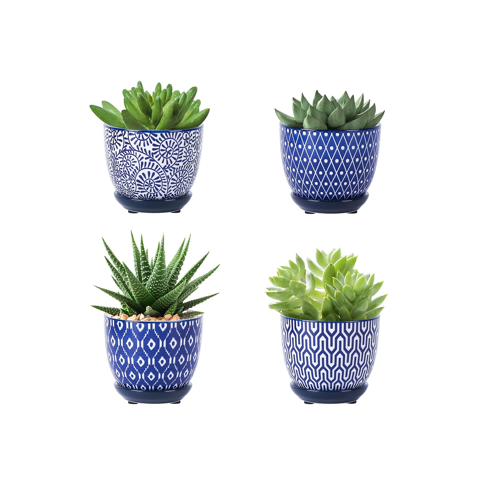 Selamica Ceramic Succulent Pots (Set of 4)
