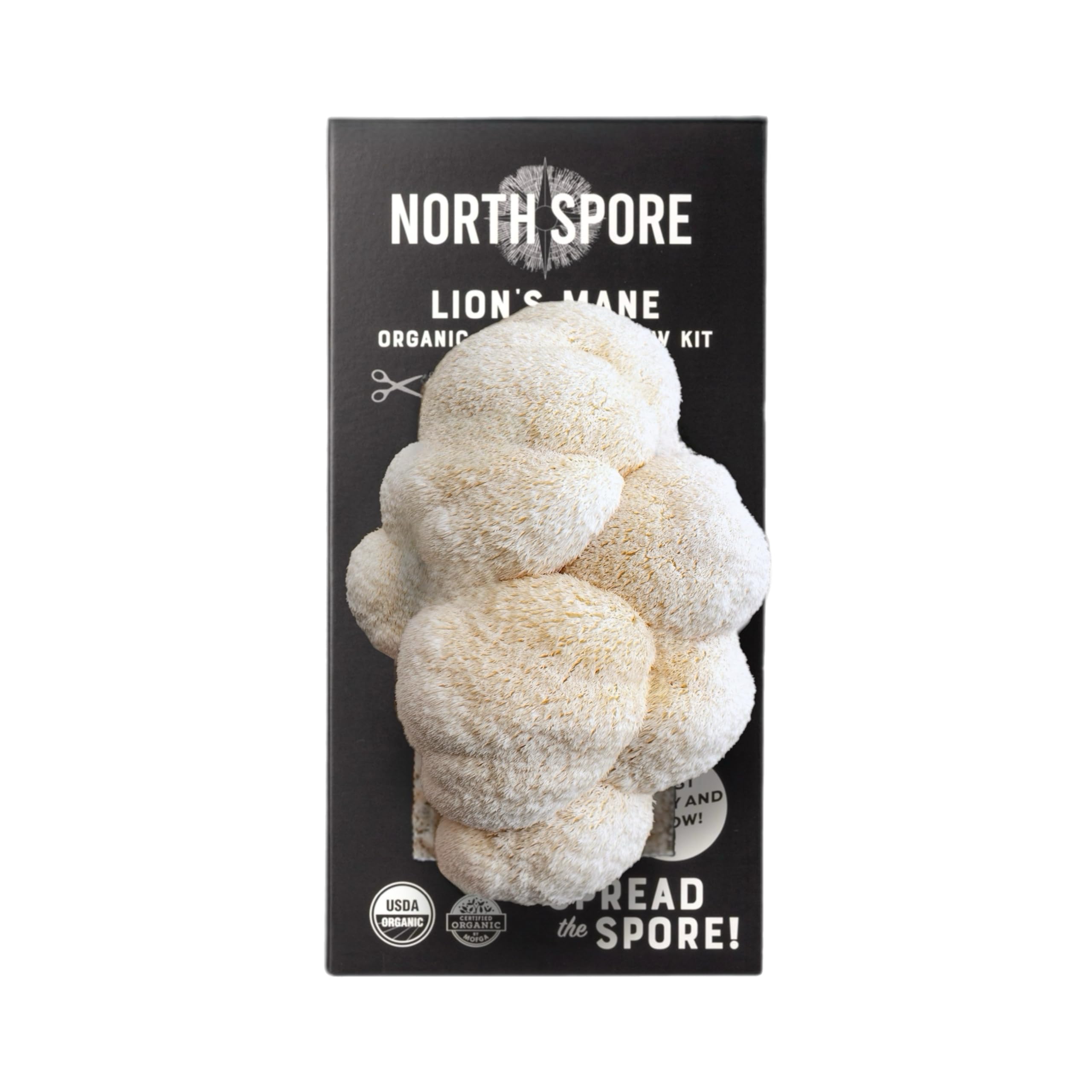 North Spore Lion's Mane Grow Kit