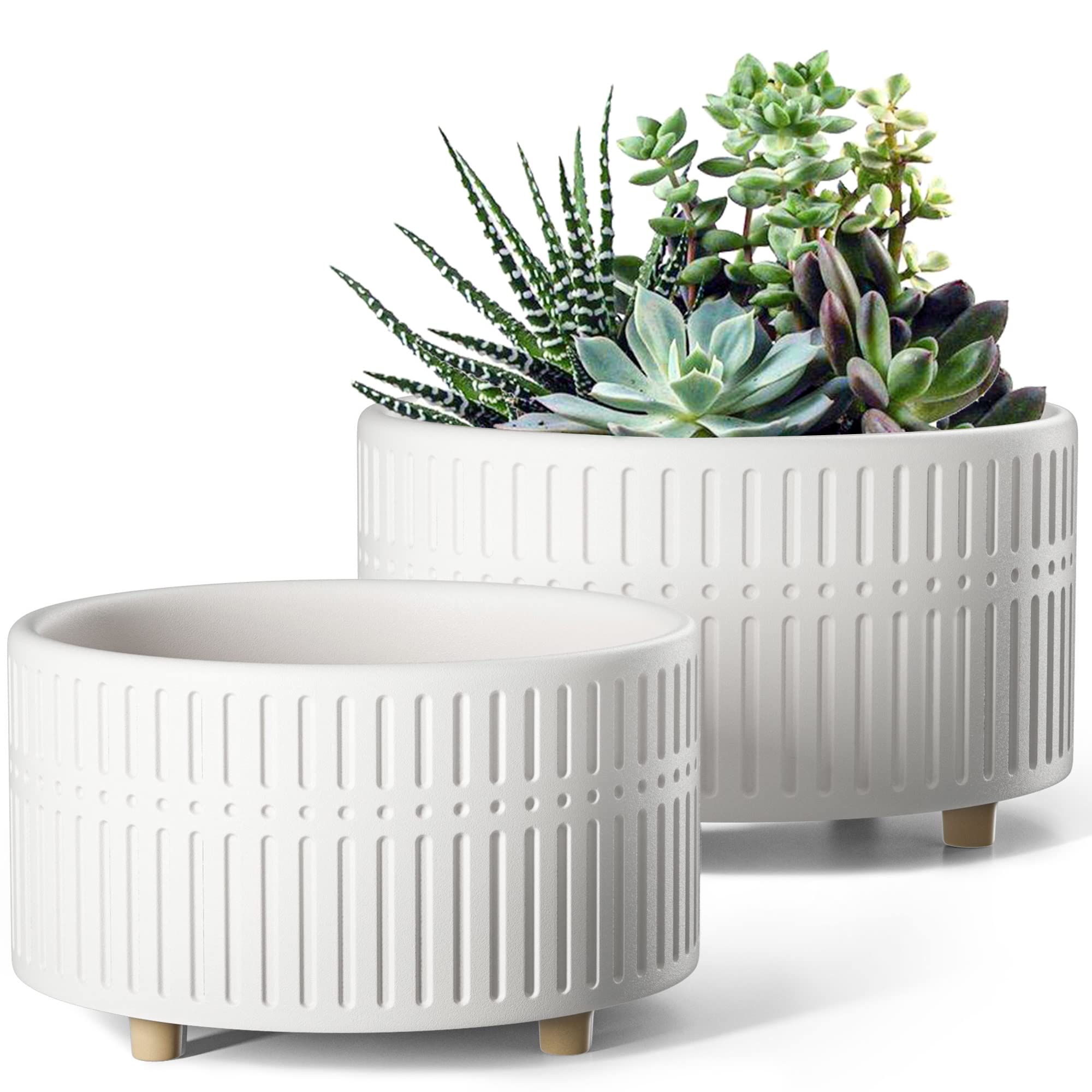 LE TAUCI Shallow Ceramic Succulent Planters (Set of 2)