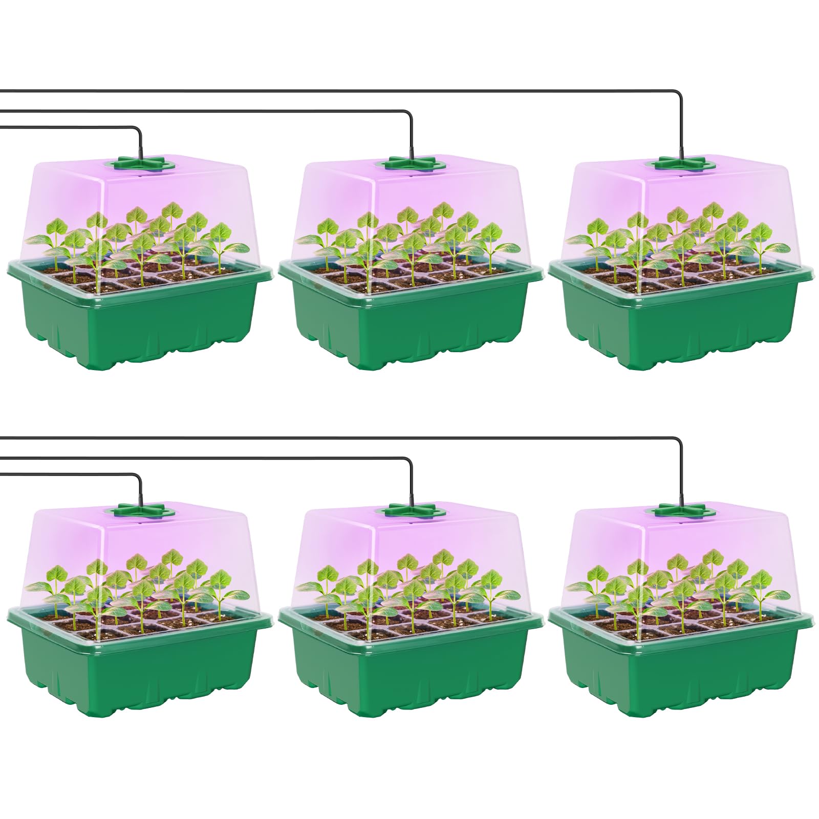 MIXC Elevated Kit with LED Grow Light