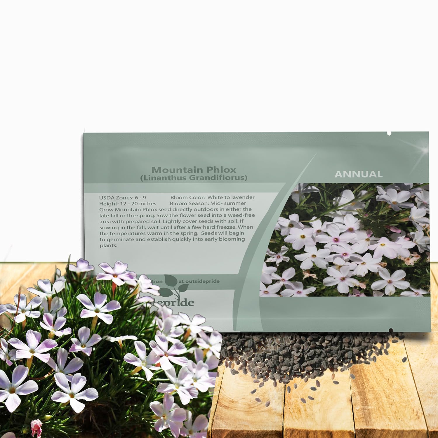 Outsidepride Mountain Phlox (White-Lavender)