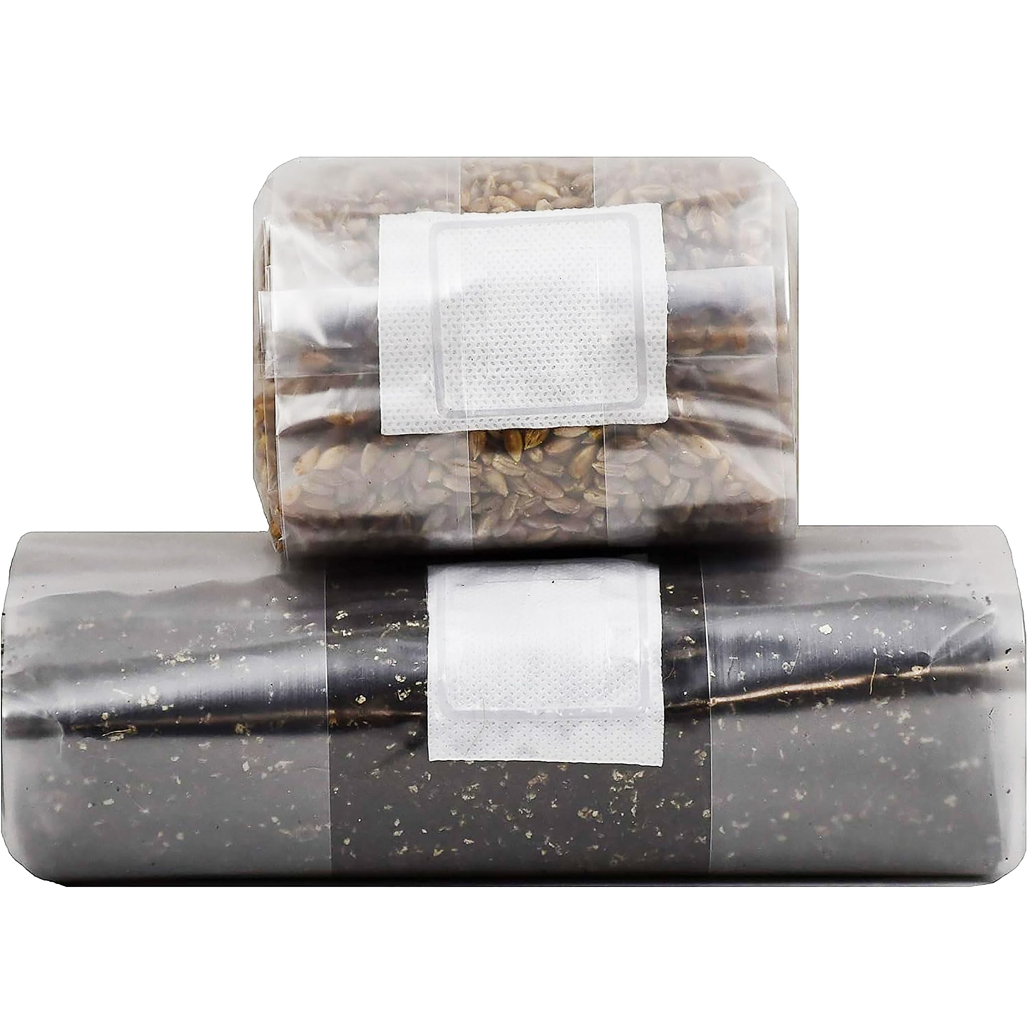 Quick Mushroom Grow Kit