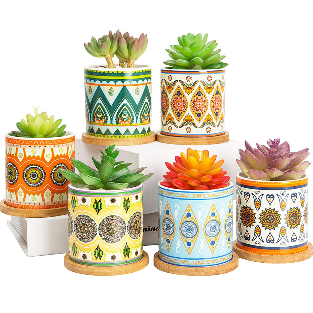 Mandala Ceramic Succulent Pots (6-Pack)