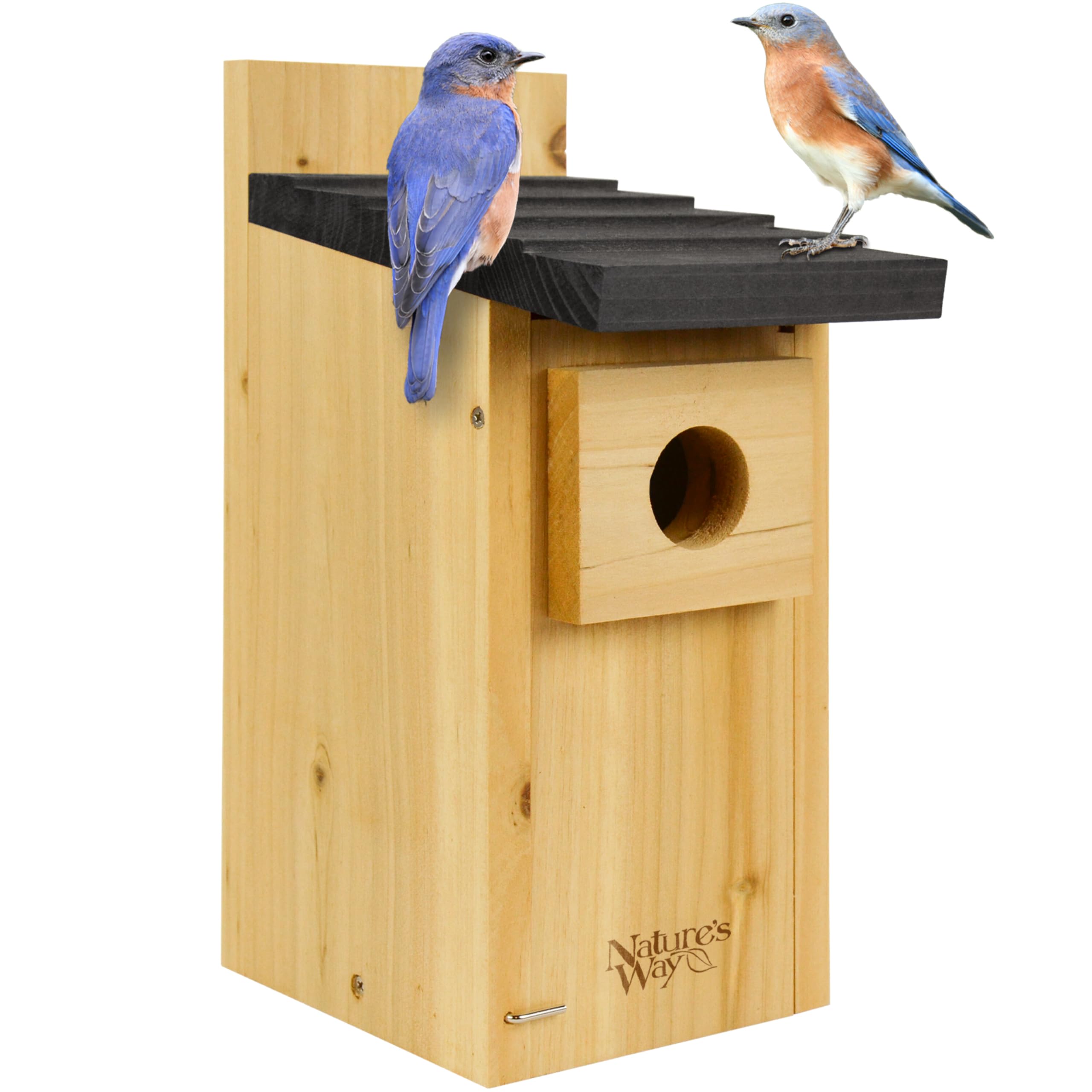 Wild Wings Cedar Blue Bird Box