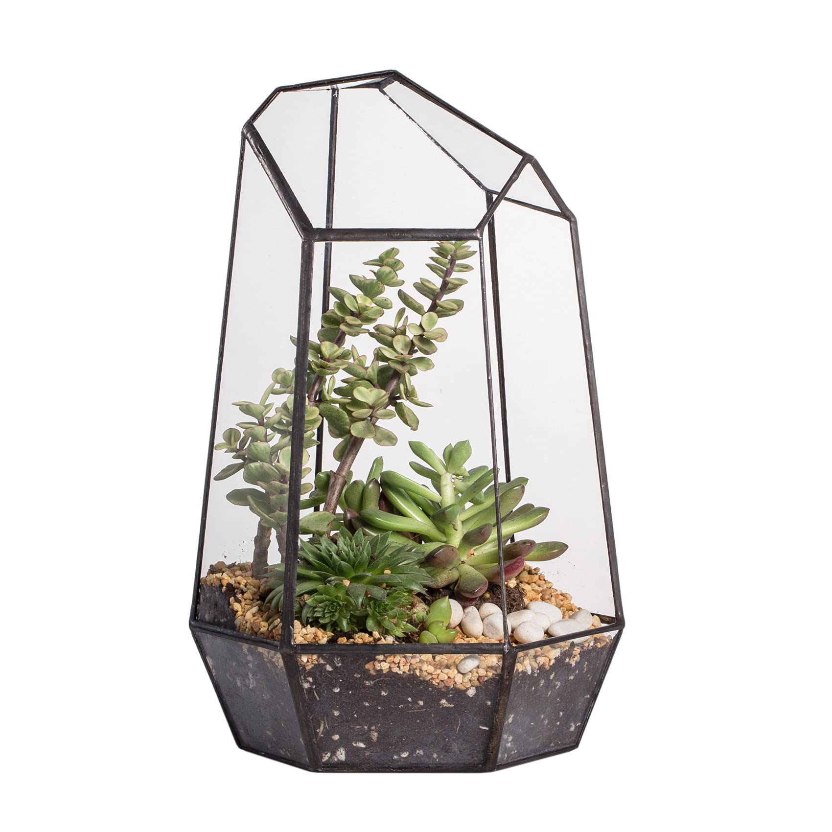 NCYP Irregular Geometric Terrarium (Tall)