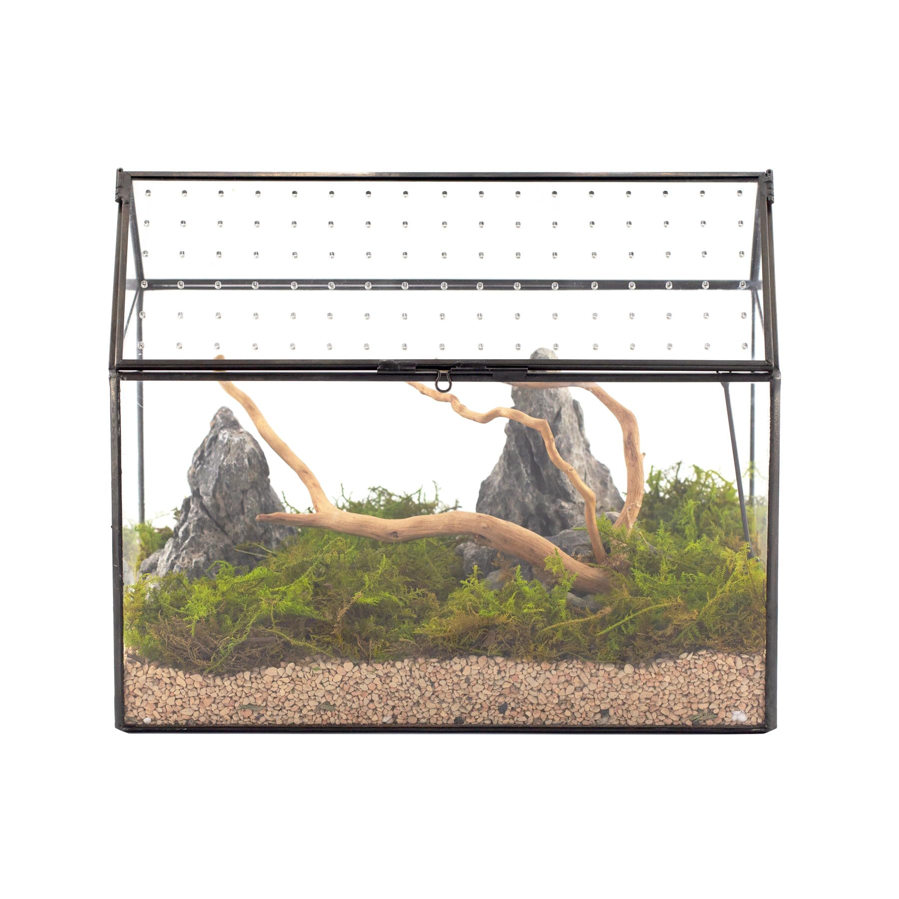 NCYP House-Shaped Terrarium with Vent Lid