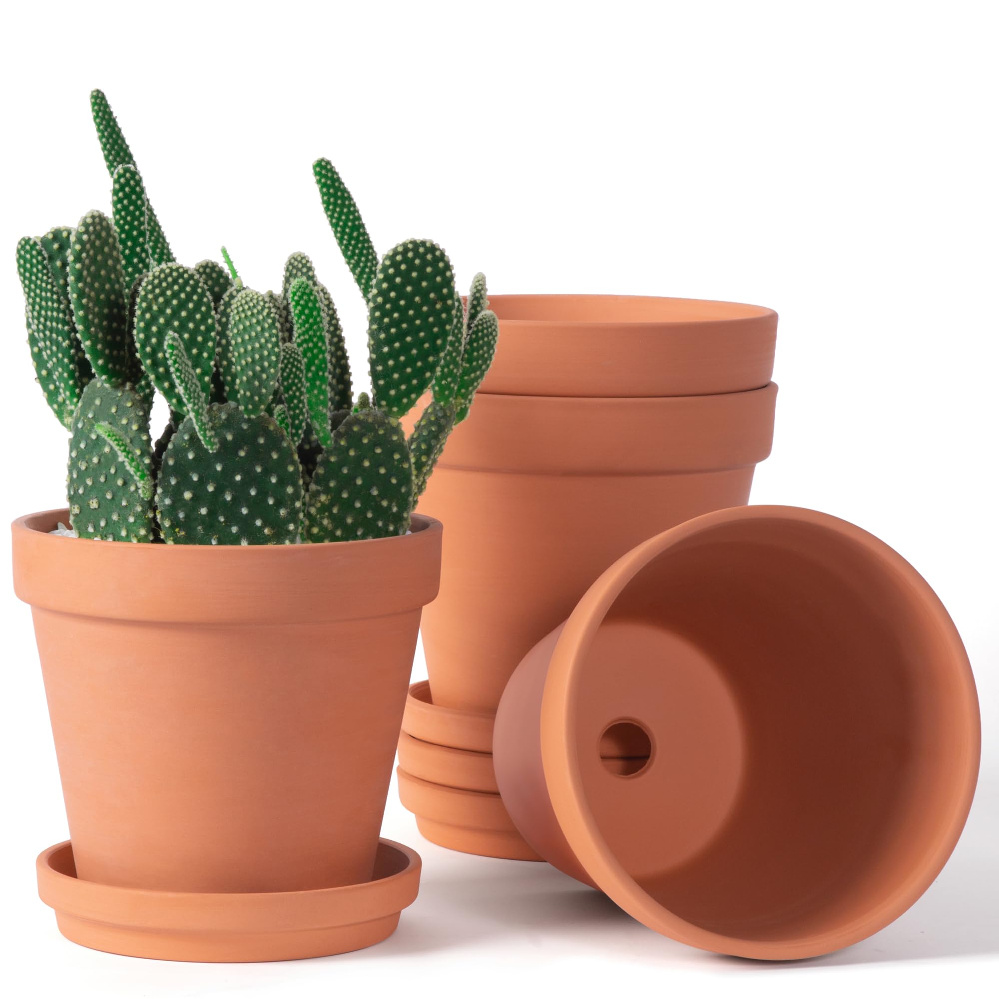 Orceler 6-inch Terracotta Pots (4-Pack)