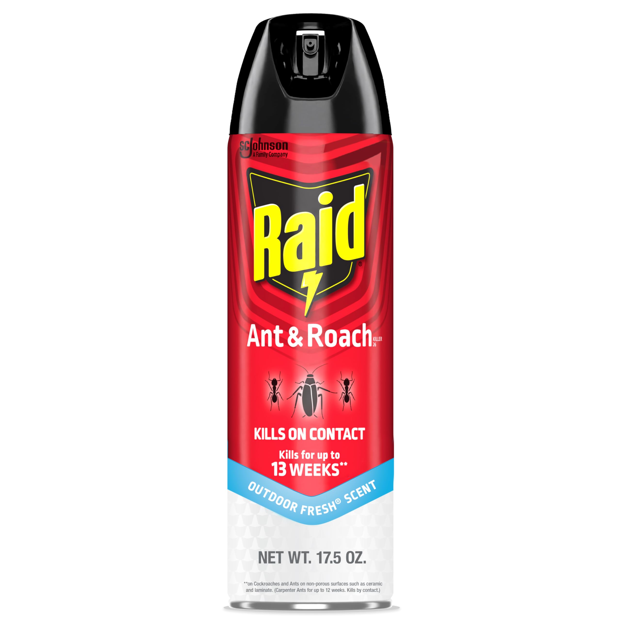 Raid Ant & Roach Killer — Fresh Scent