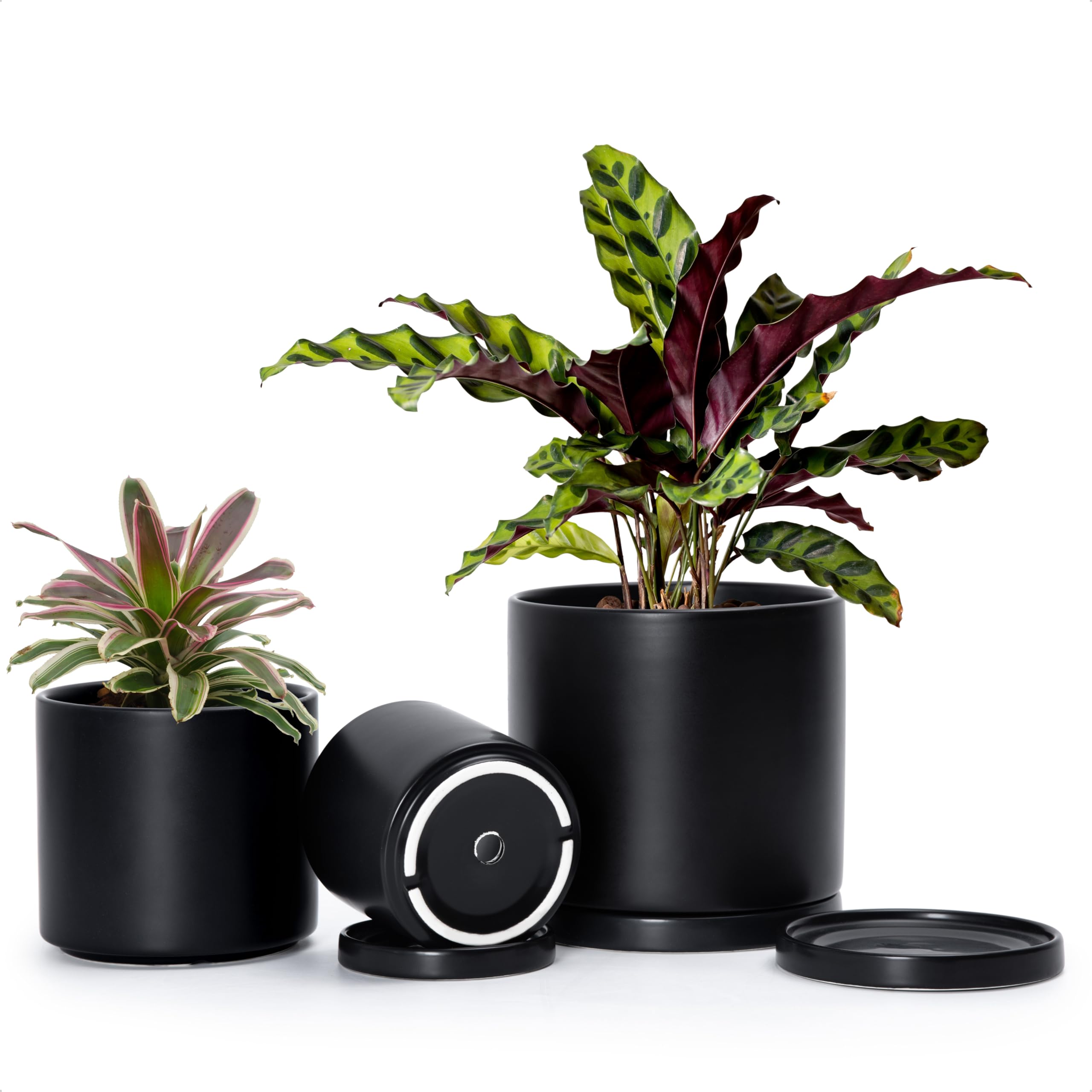 D'vine Dev Black Terracotta Pot Set
