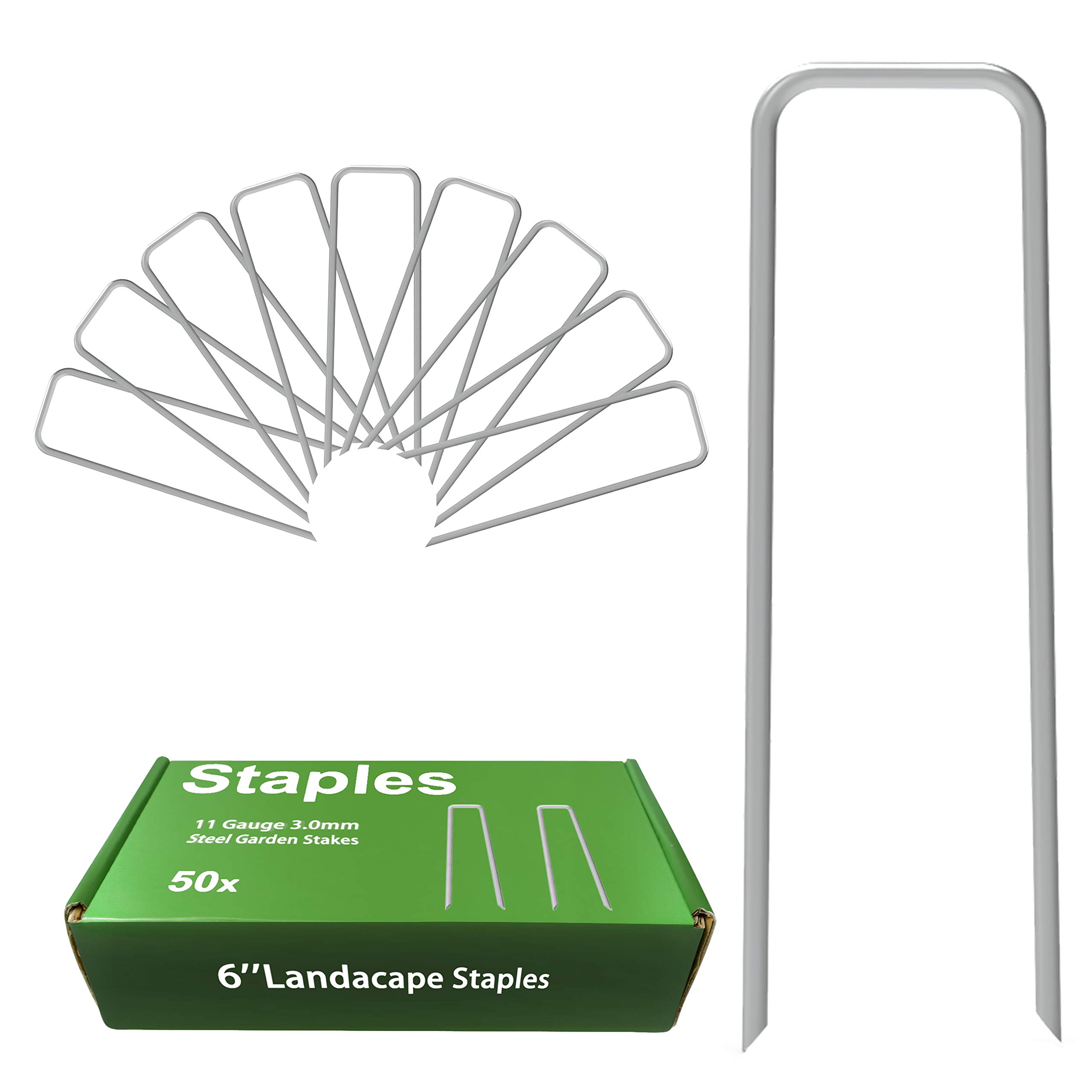 AAGUT Galvanized Landscape Staples (6")