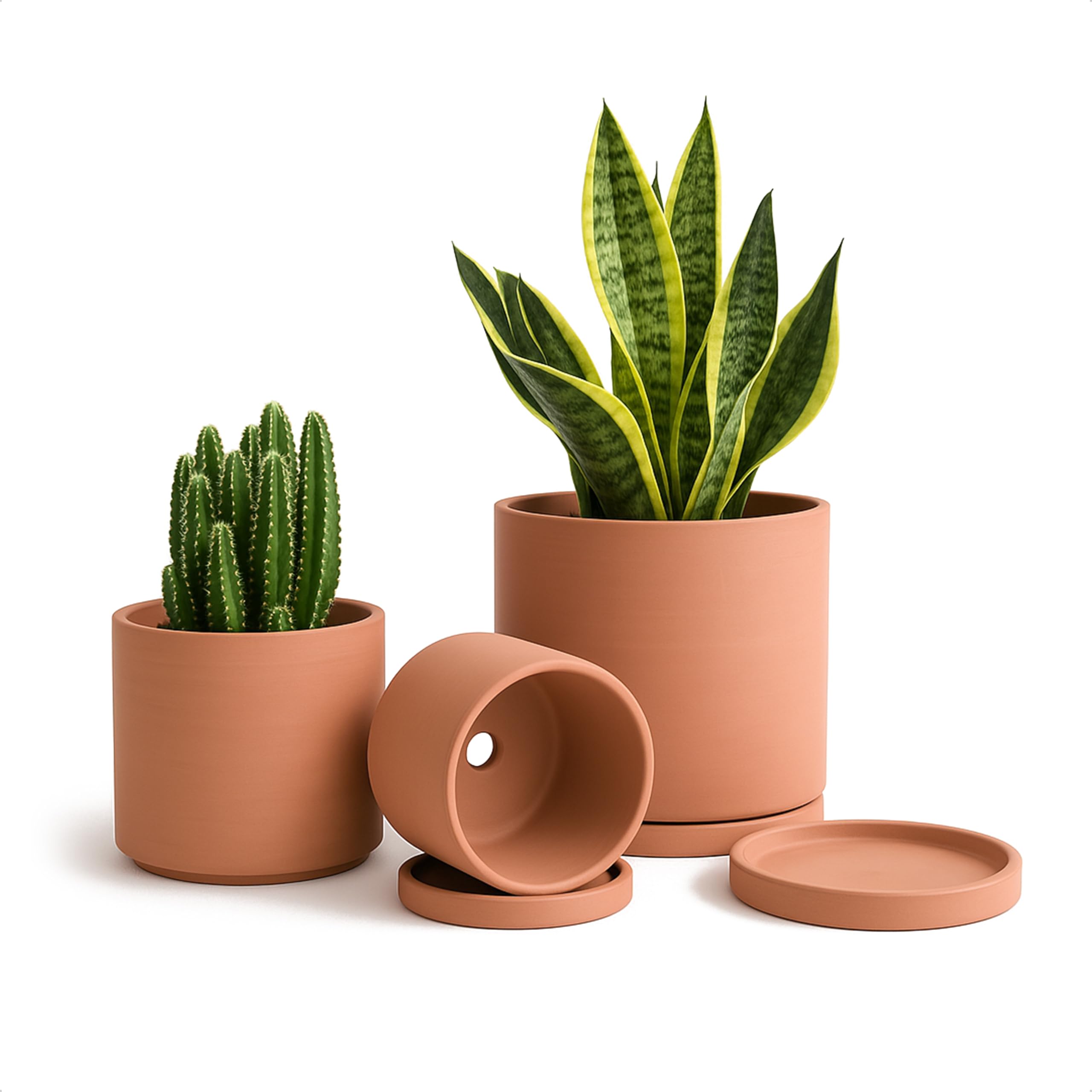 D'vine Dev Terracotta Pots (Set of 3)