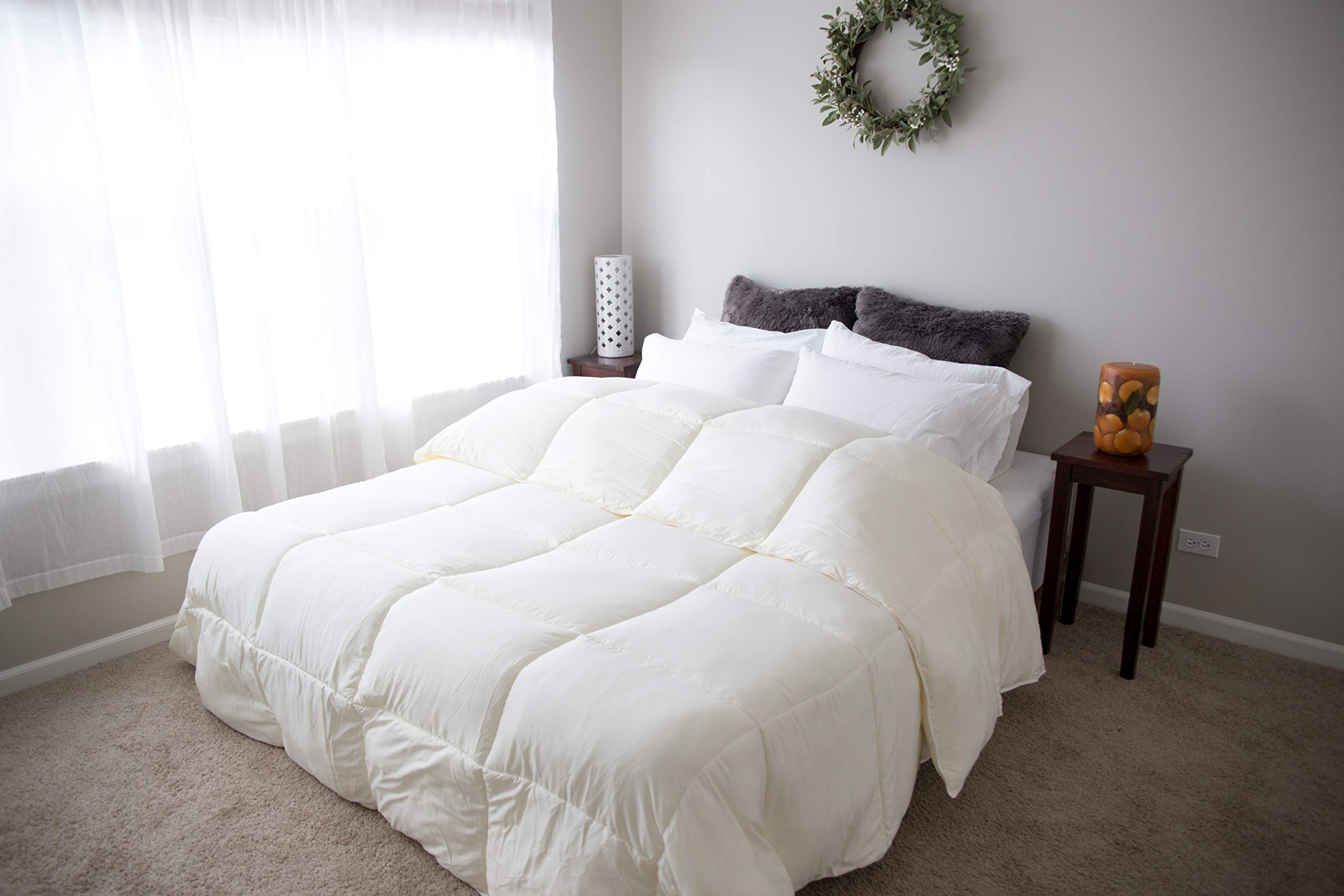 Pillowtex Dream in Color Comforter