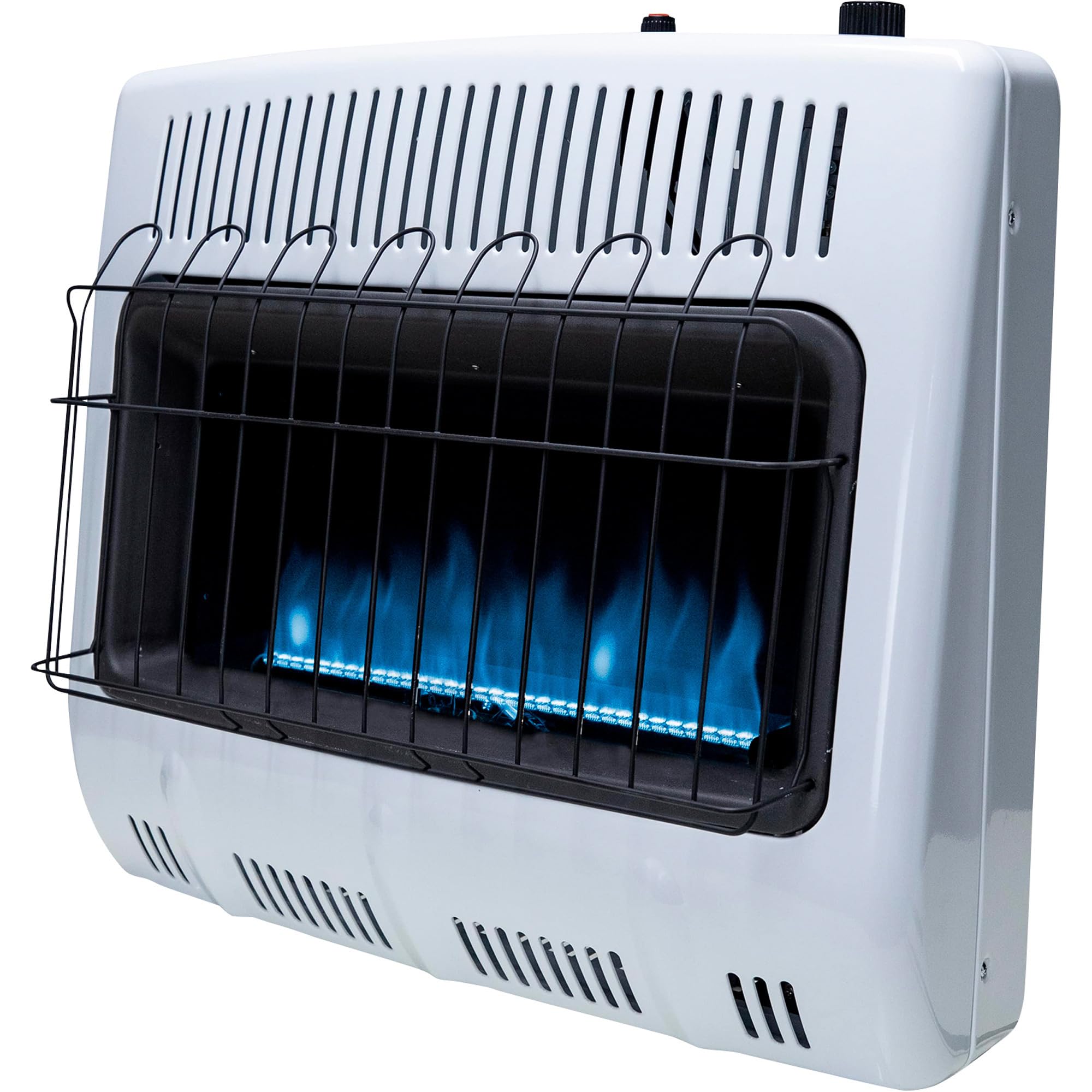 Mr. Heater 30,000 BTU Vent-Free Blue Flame