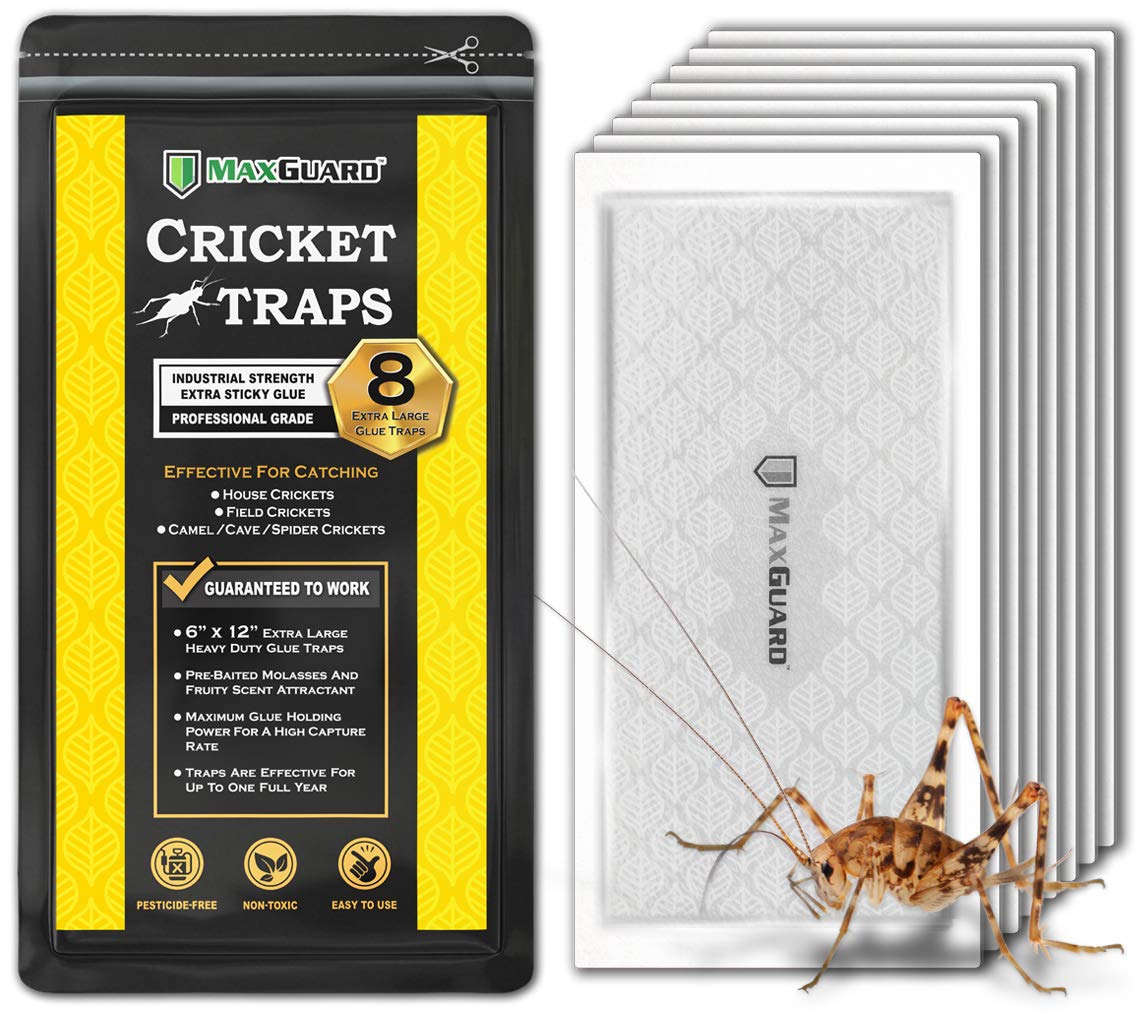 MaxGuard Extra Large Cricket Traps (8 Traps)