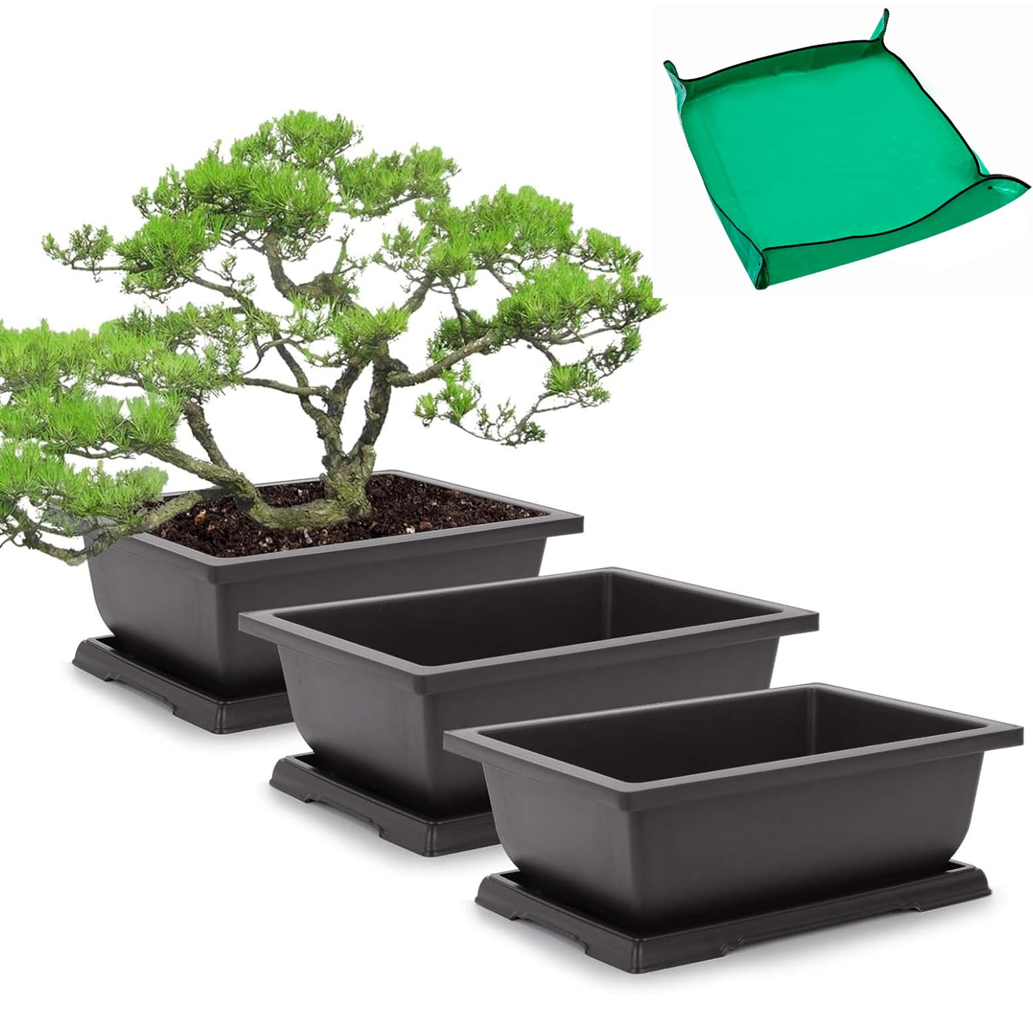 GROWNEER 11in Bonsai Training Pots (3-Pack)