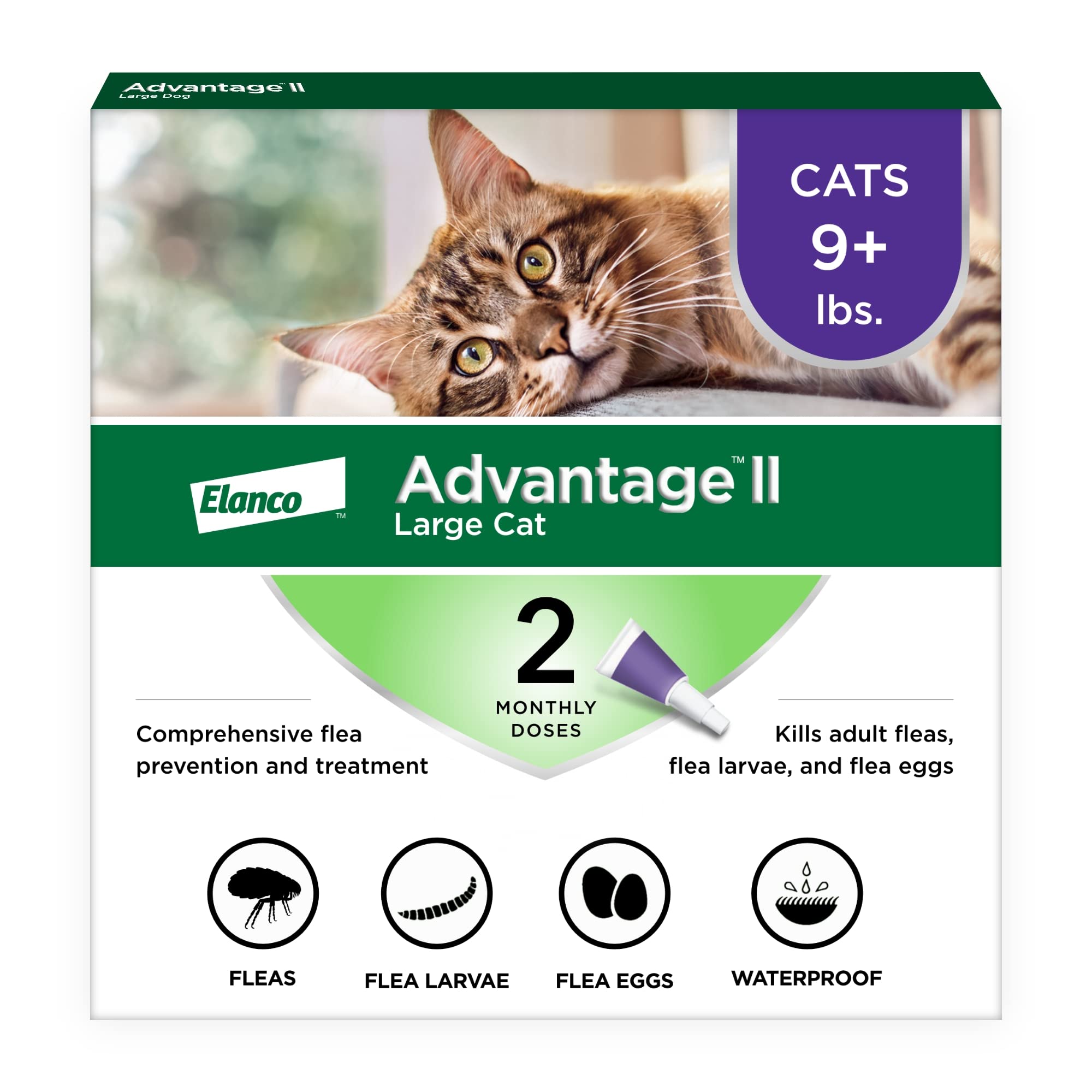 Advantage II Large Cat Vet-Recommended Flea Treatment & Prevention | Cats Over 9 lbs. | 2-Month Supply 2-Pack