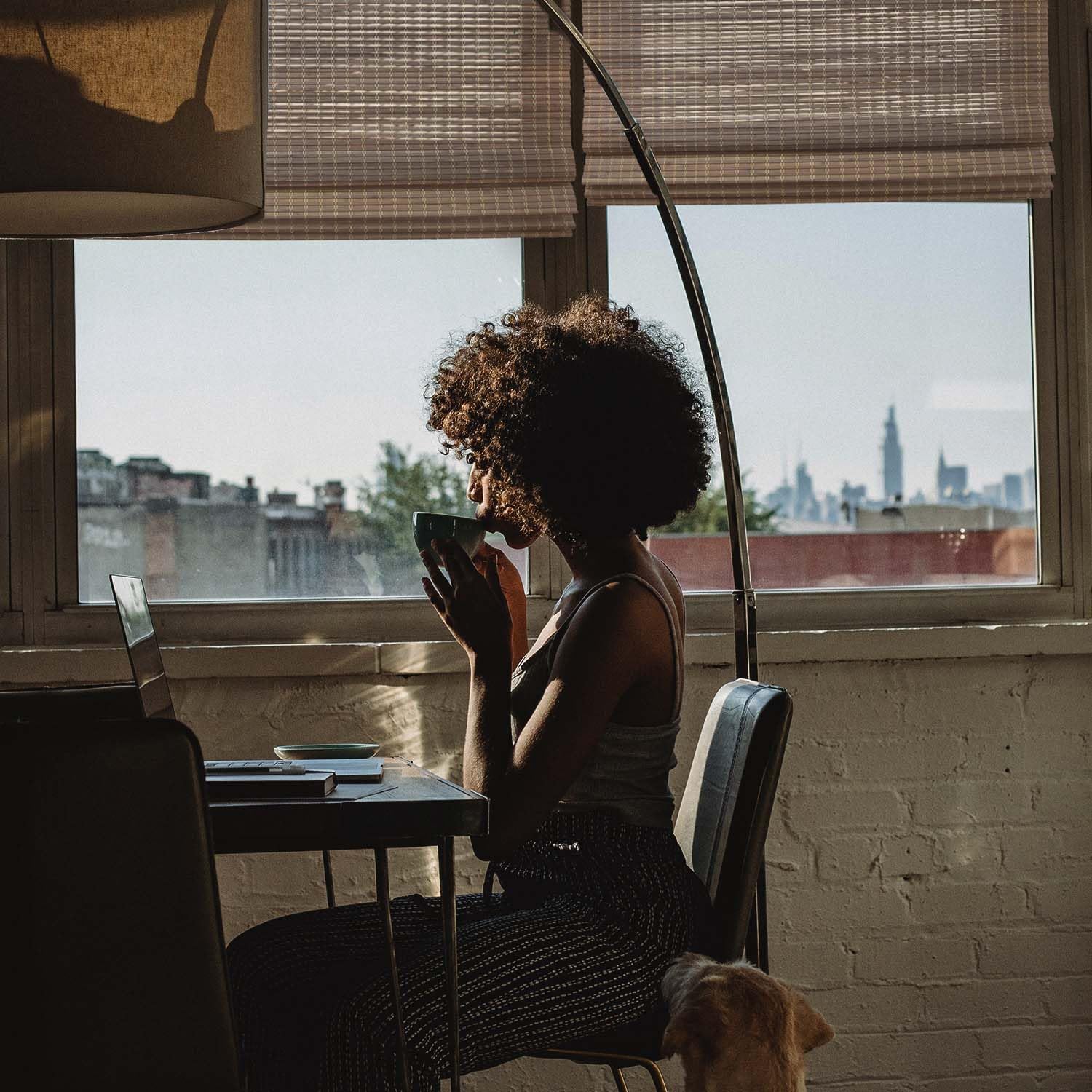 MOOD Bamboo Roman Shade (Rustic Oak)