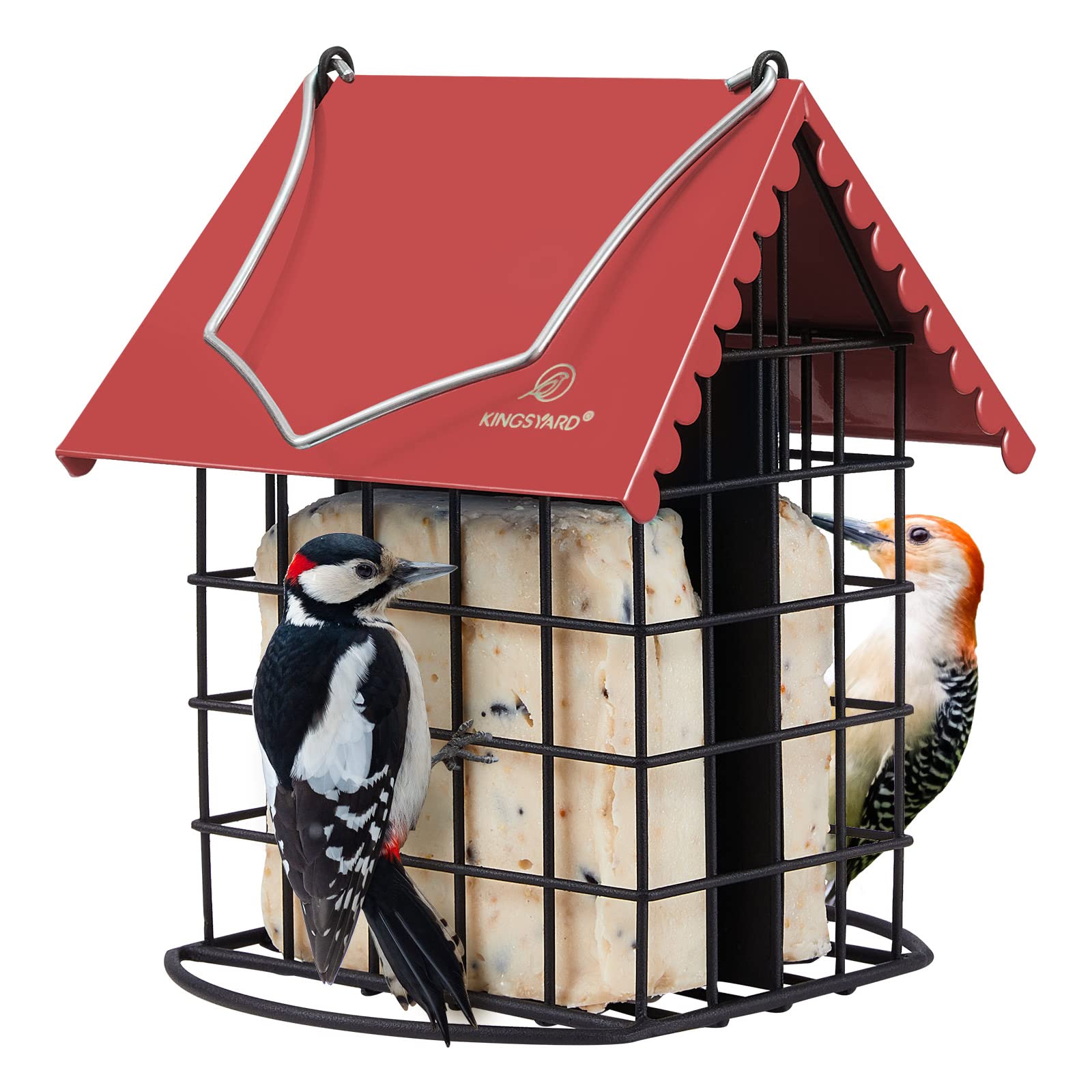 Kingsyard Double Suet Feeder