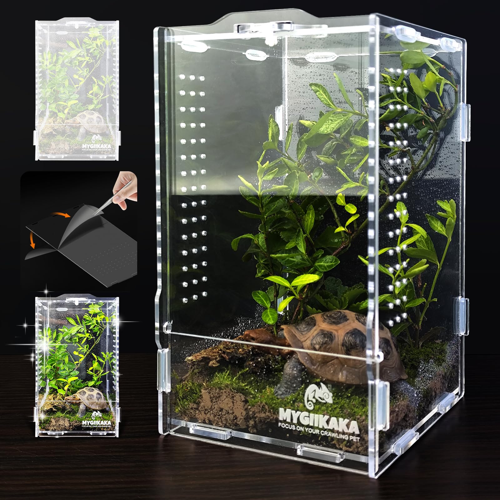 Acrylic Jumping Spider Habitat