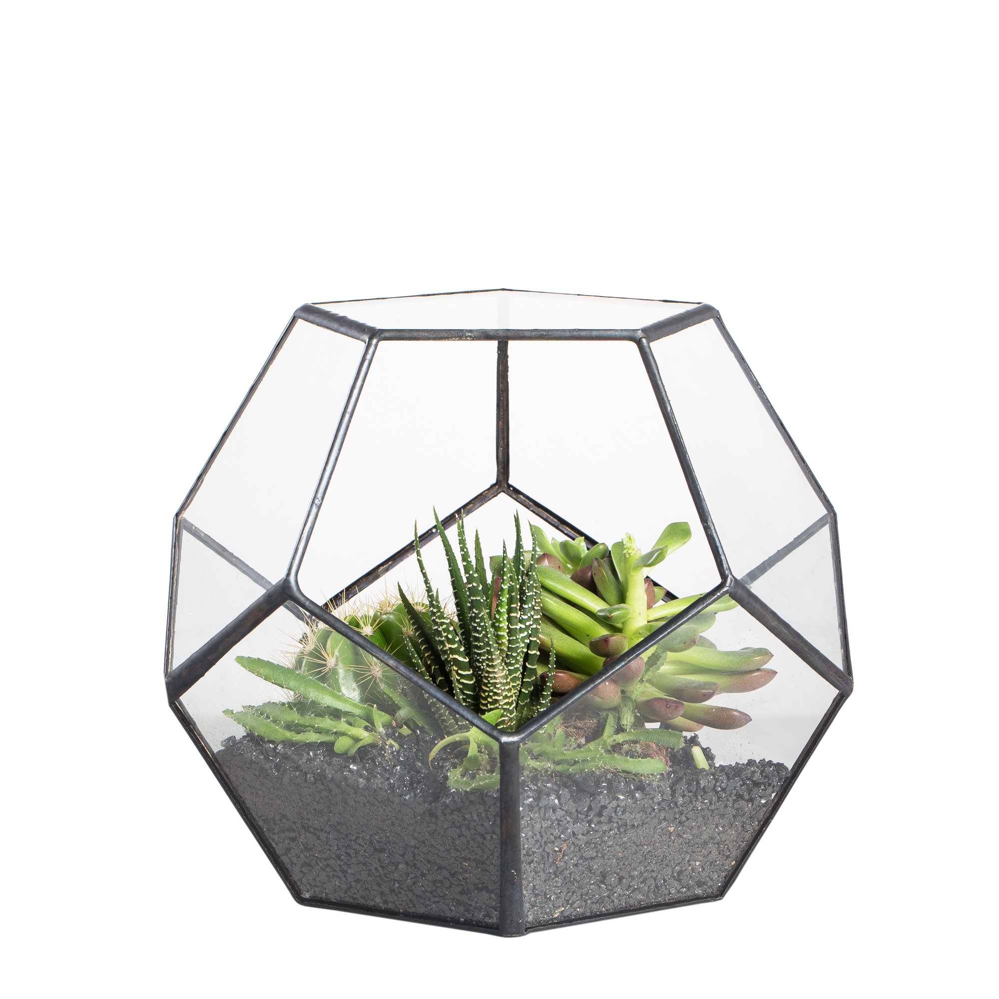 NCYP Pentagon Glass Terrarium (Small)