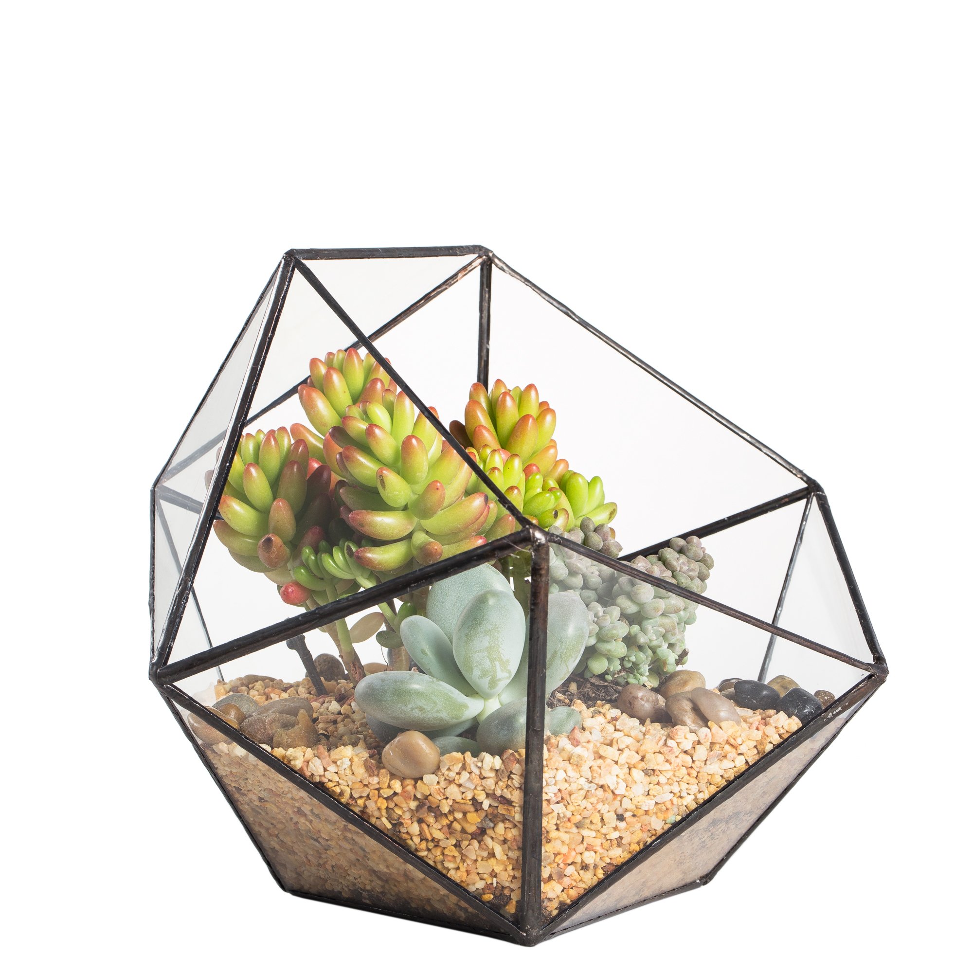 NCYP Open Bowl Geometric Terrarium