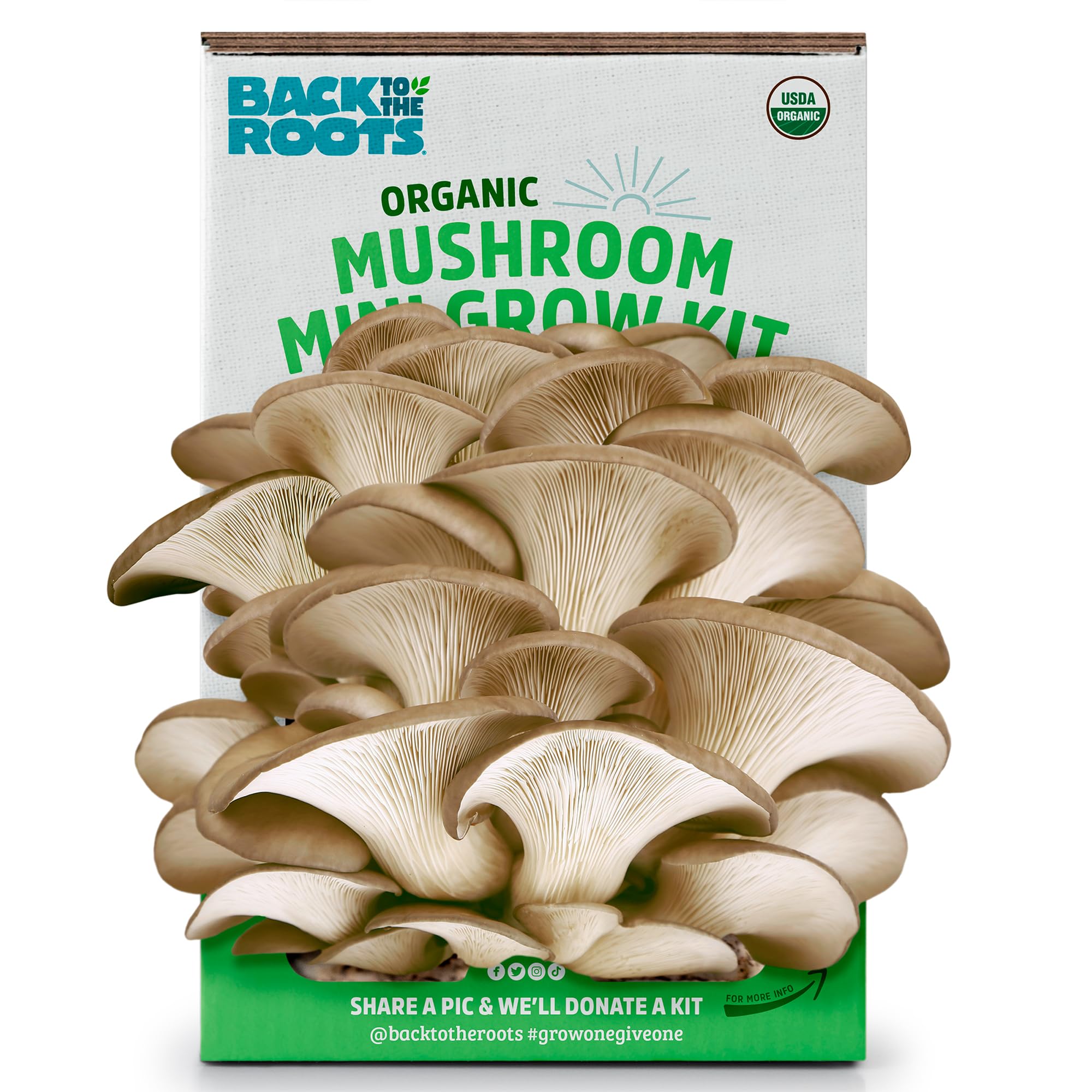 Back to the Roots Organic Mini Mushroom Grow Kit