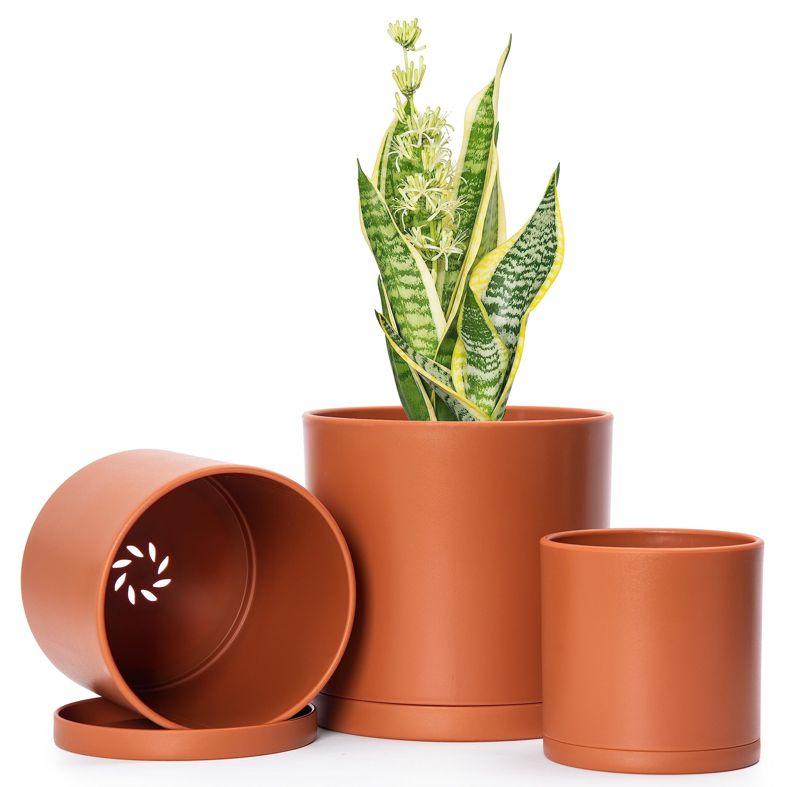 D'vine Dev Plastic Planter Pots (Set of 3)