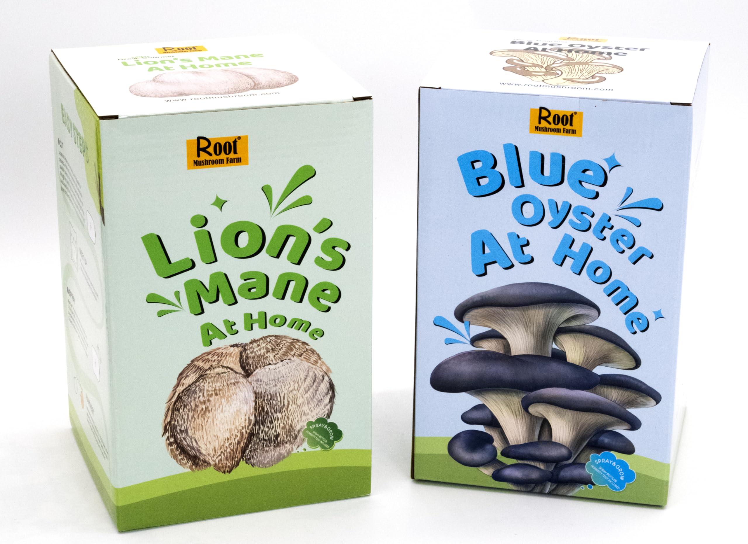 Two 3 lb Mushroom Grow Kits (Lion's Mane & Blue Oyster)