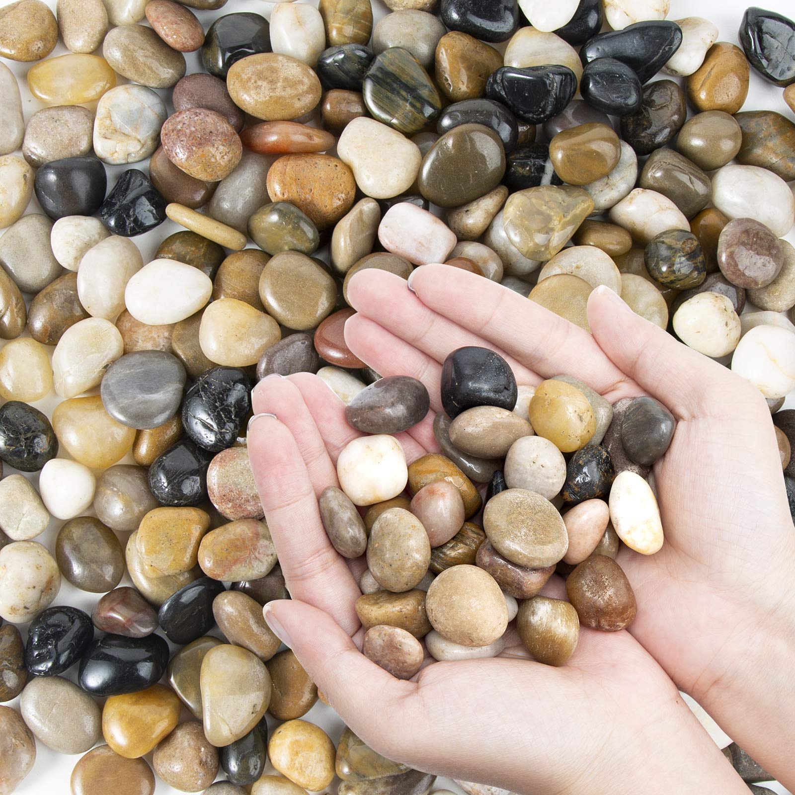 Pebbles Polished Gravel — Natural Mixed Color Stones 2 LB